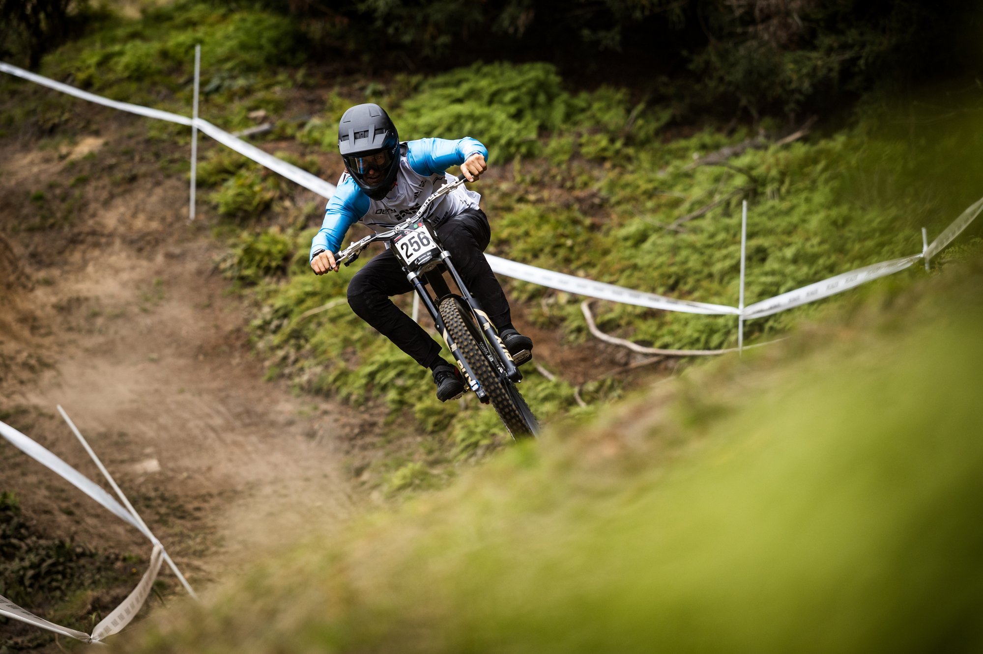 A mountain biker wearing a black helmet and white and blue jersey riding downhill on a dirt trail surrounded by green foliage.