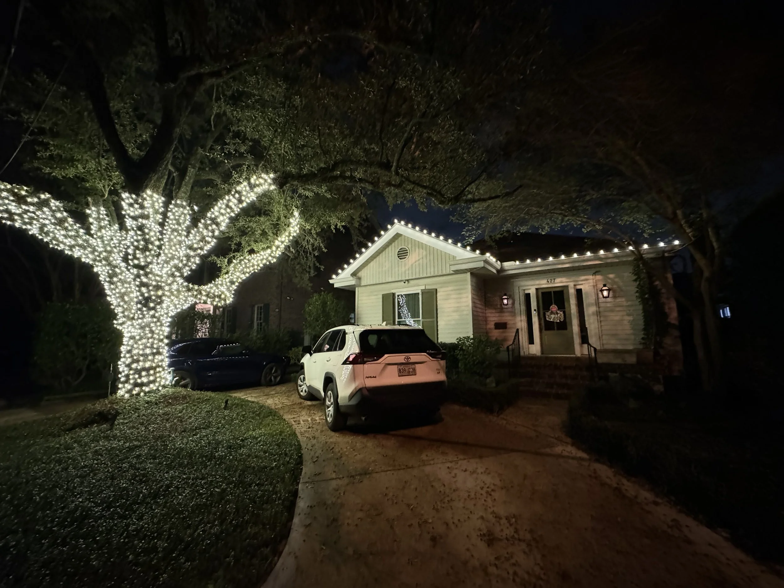 white-christmas-lights-tree-and-cottage.jpg