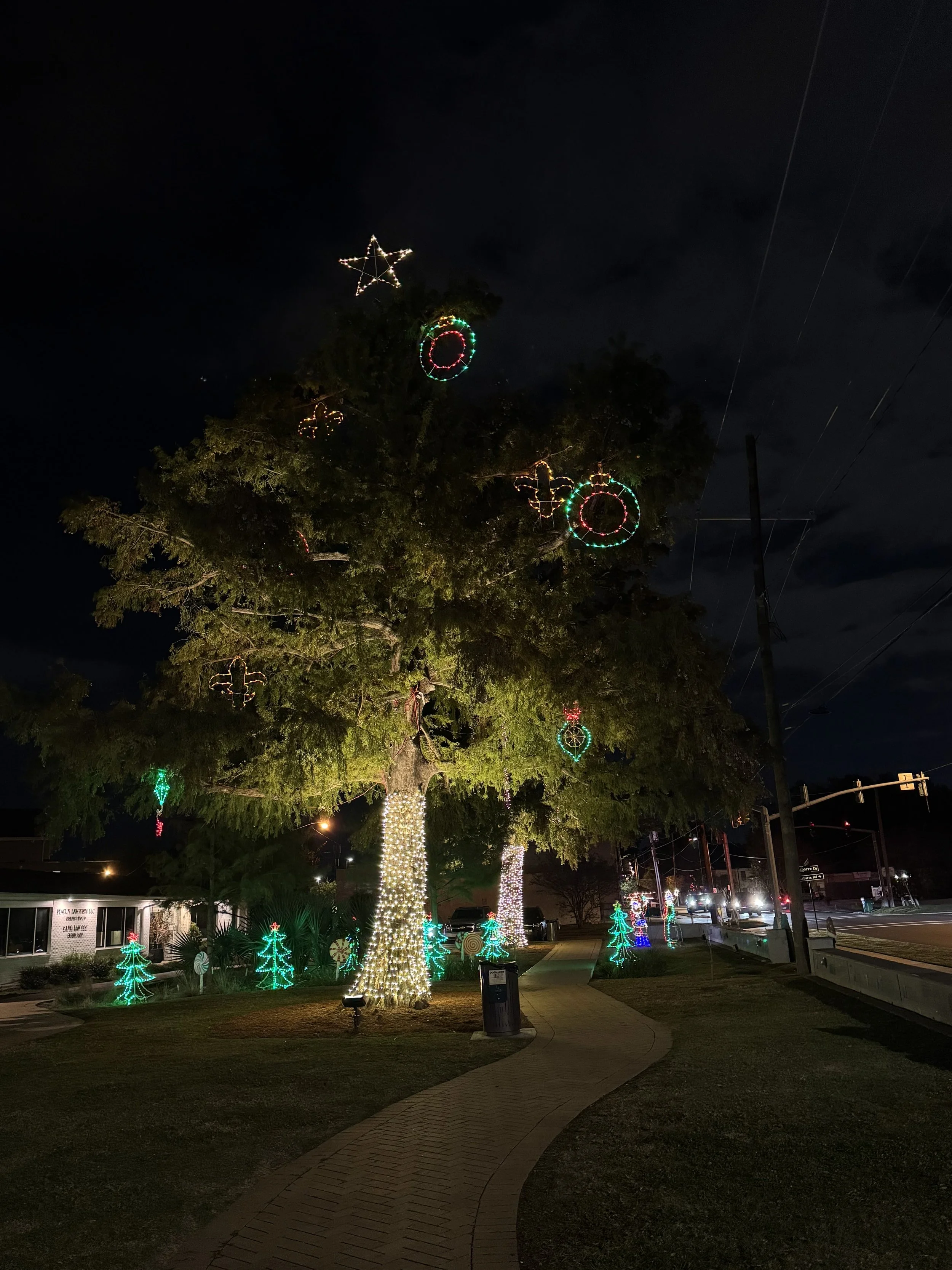 white-lights-wrapped-oak-tree-lighted-yard-displays.jpg