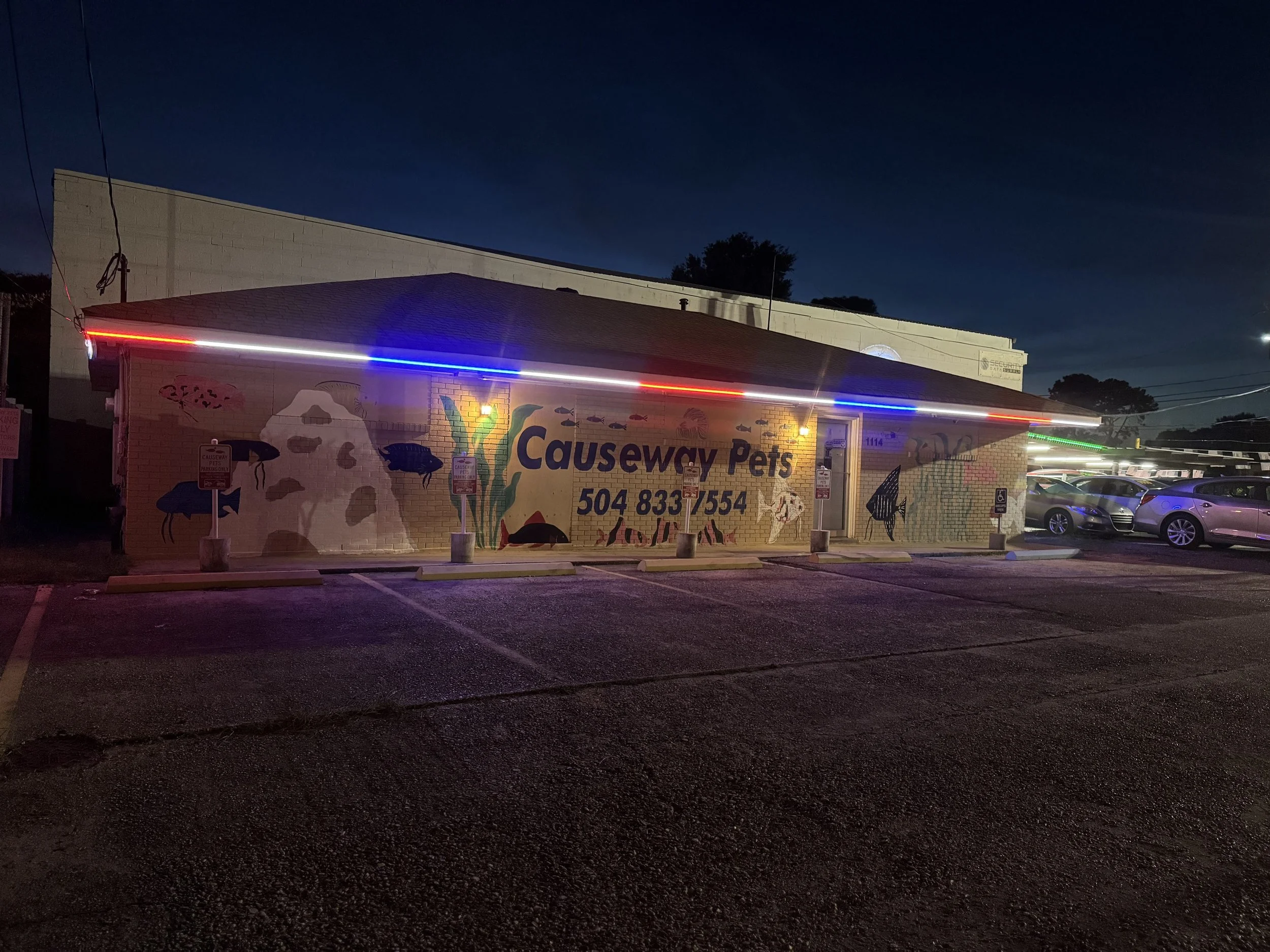 red-white-blue-permanent-lights-pet-store-roofline.jpg