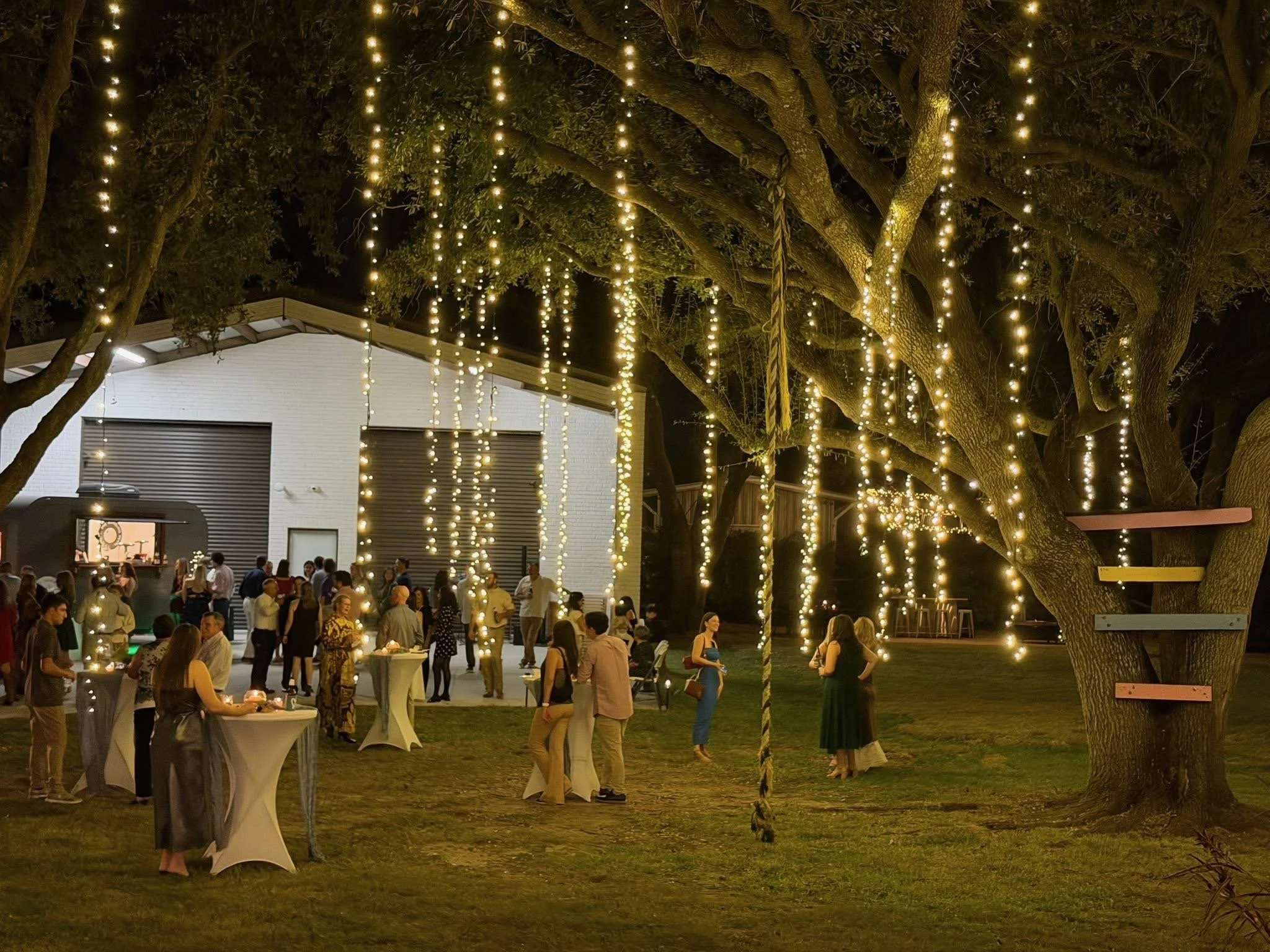 warm-white-string-lights-hanging-tree.jpeg