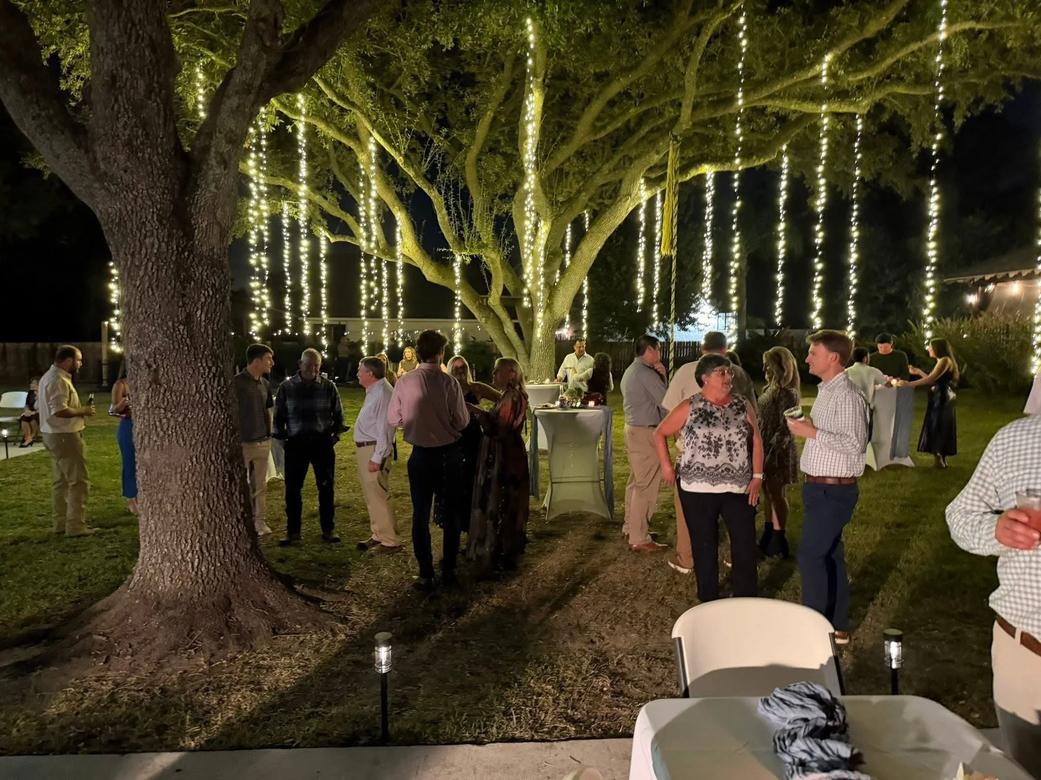 white-string-lights-hanging-oak-tree-outdoor-party.jpeg