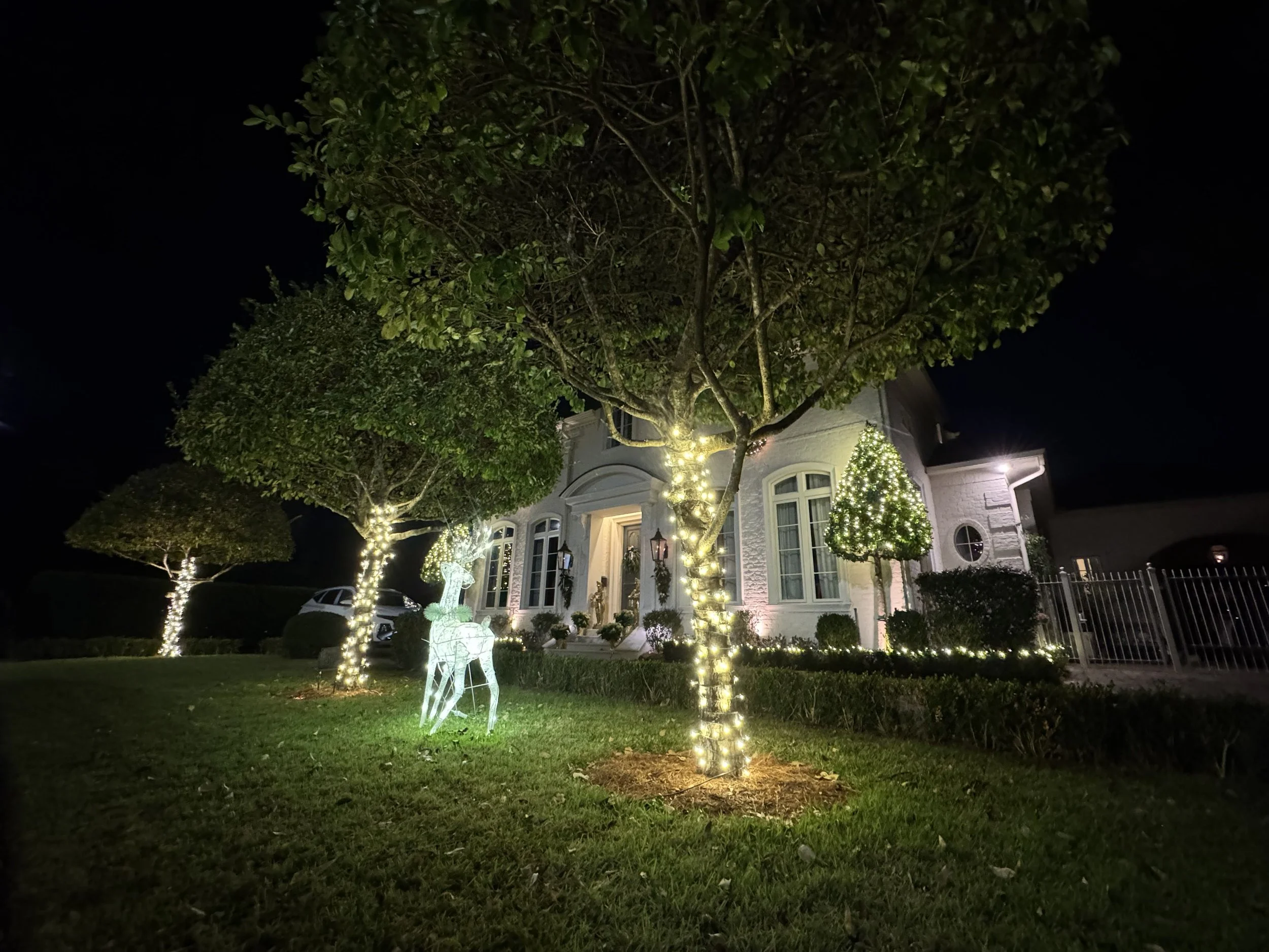 white-christmas-lights-yard-trees-reindeer.jpg