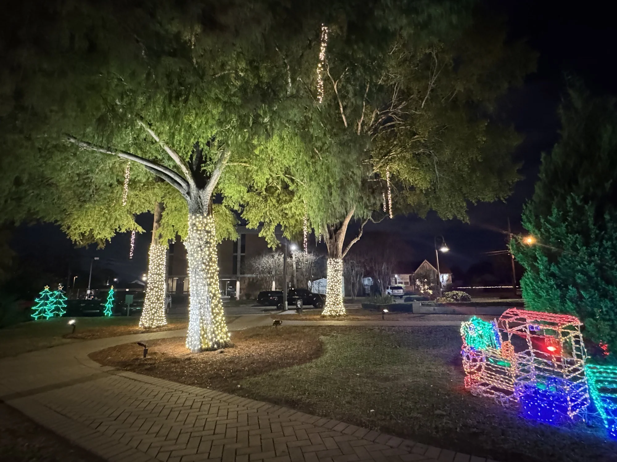 multi-colored-christmas-lights-gift-displays-and-trees.jpg