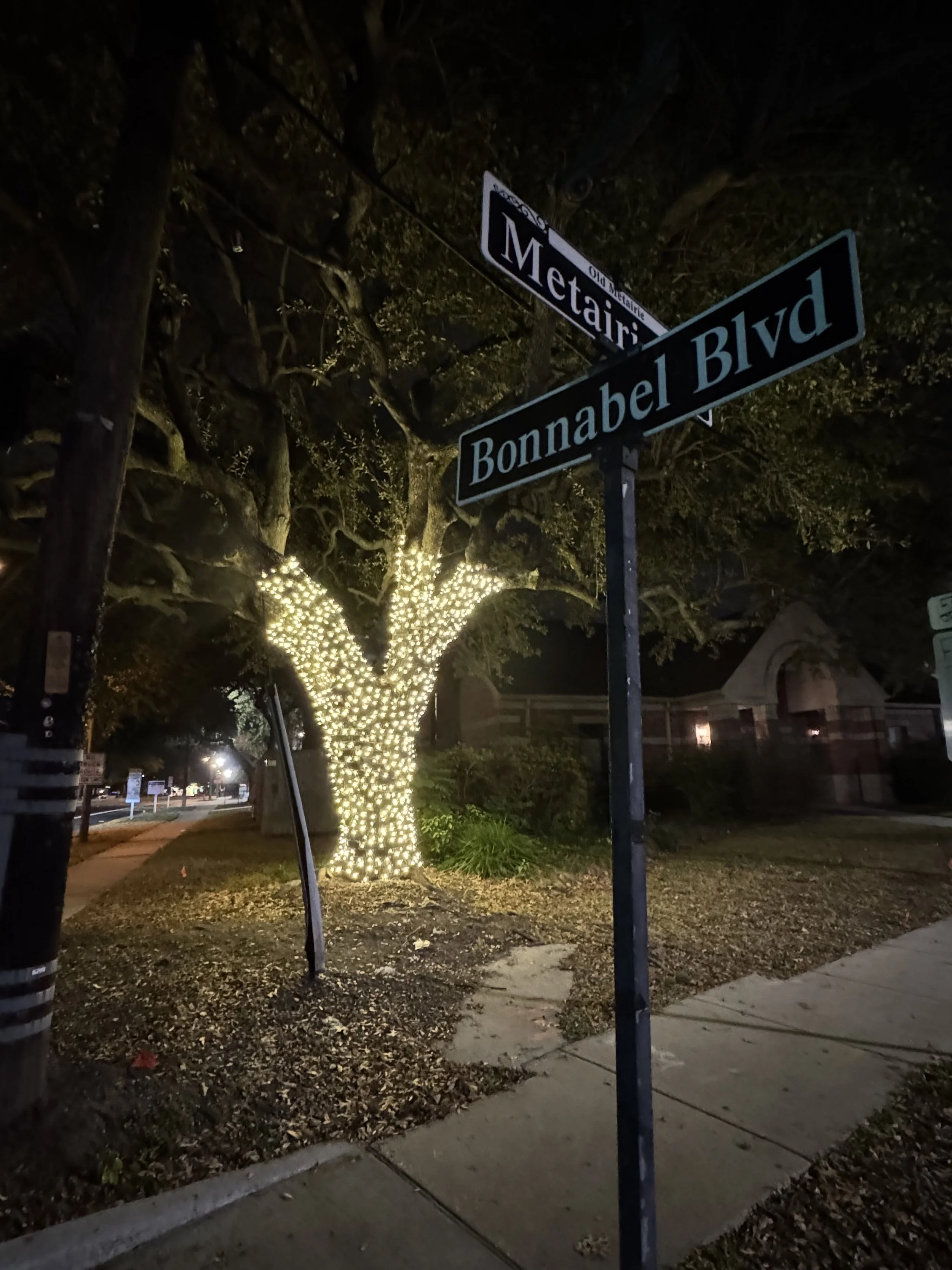 white-christmas-lights-tree-street-corner.jpg