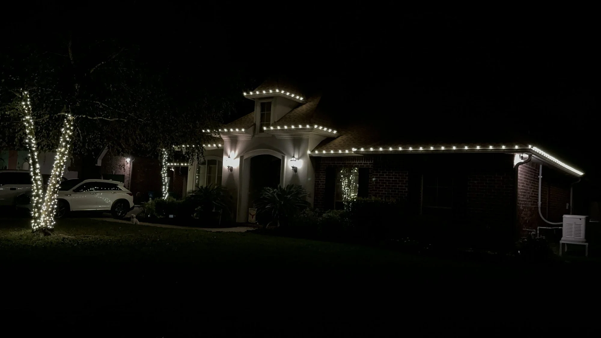 white-christmas-lights-house-and-trees.jpg