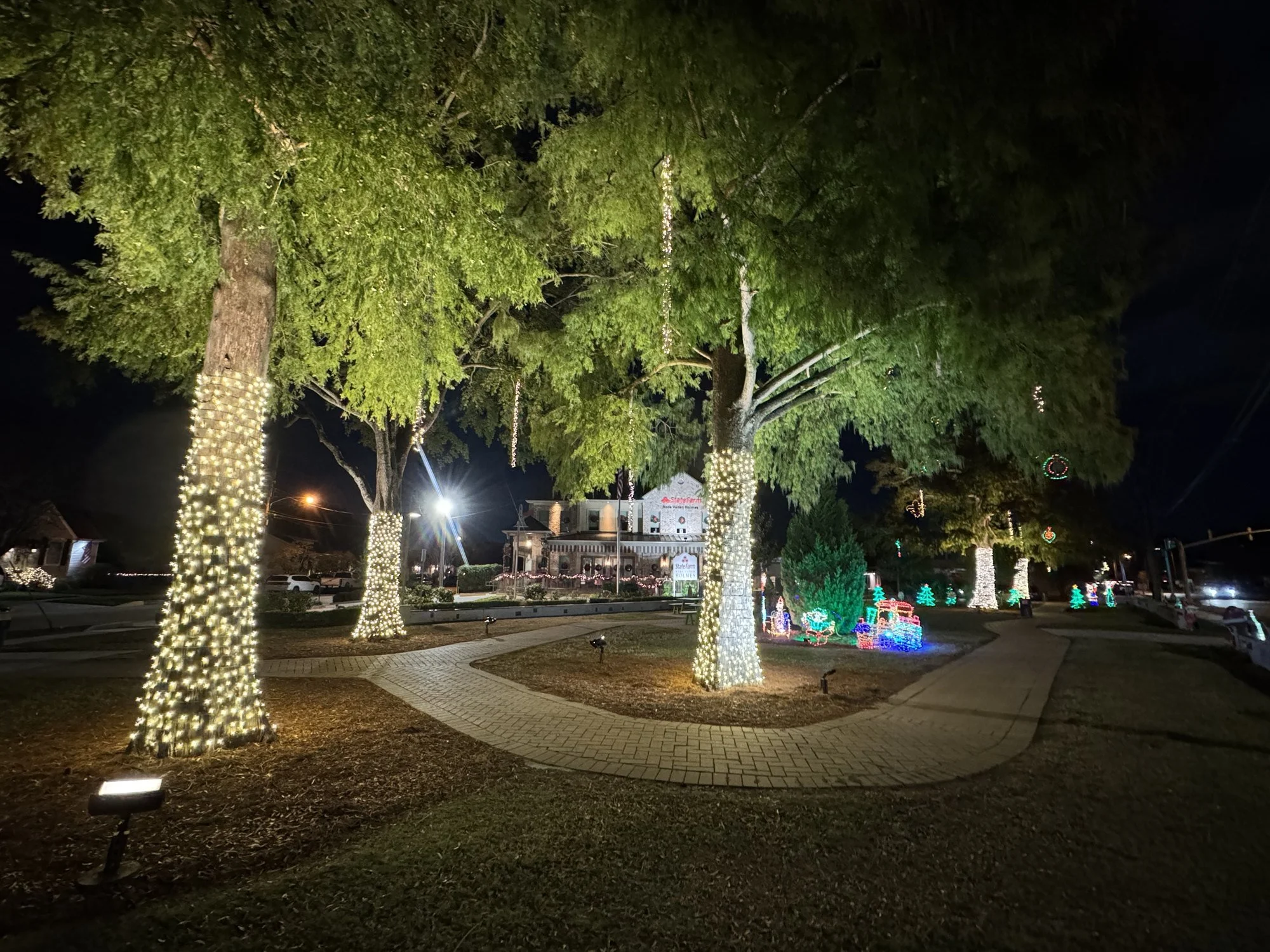 white-christmas-lights-trees-along-walkway.jpg