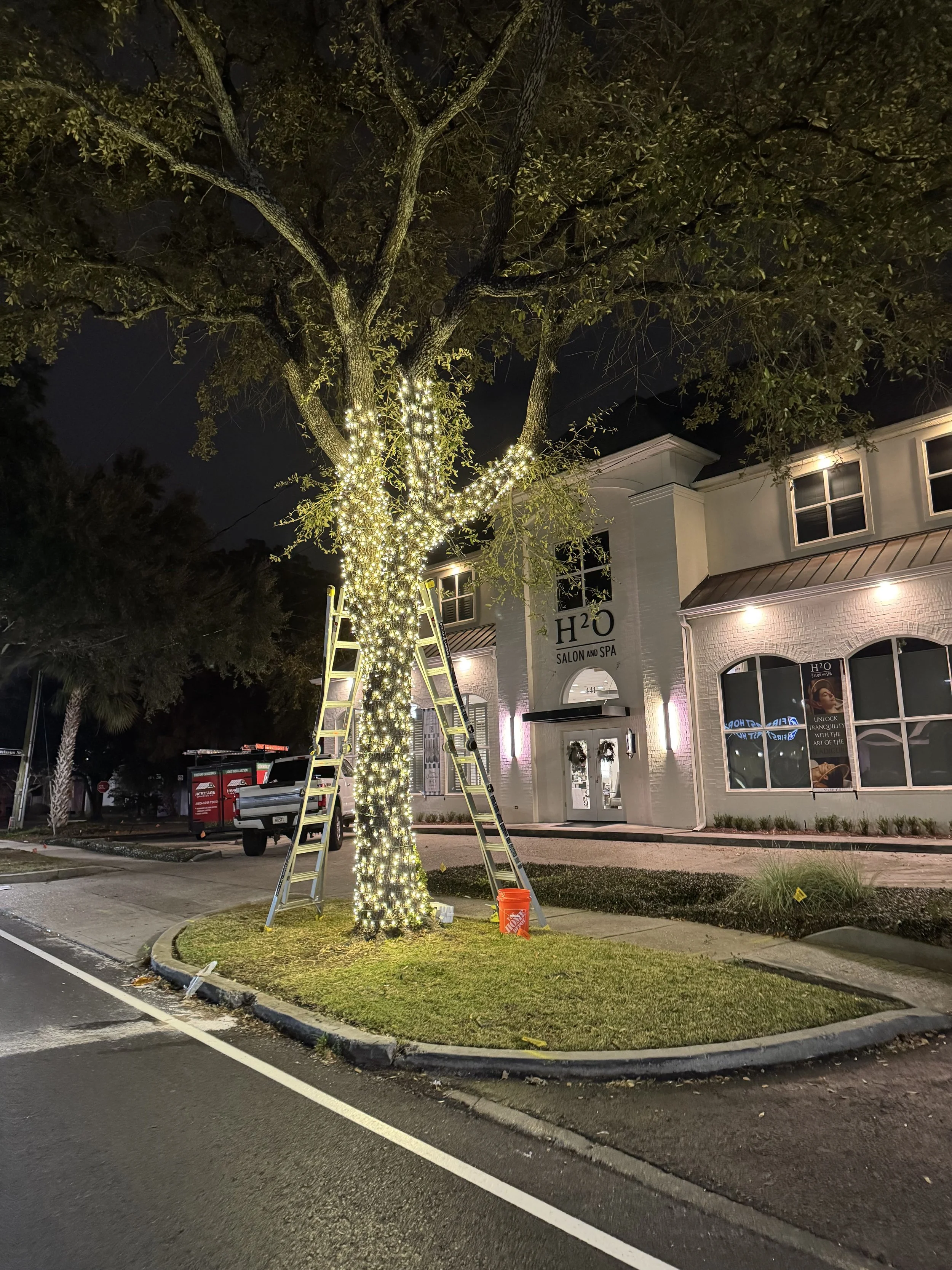 white-lights-wrapped-oak-tree-commercial-building.jpg