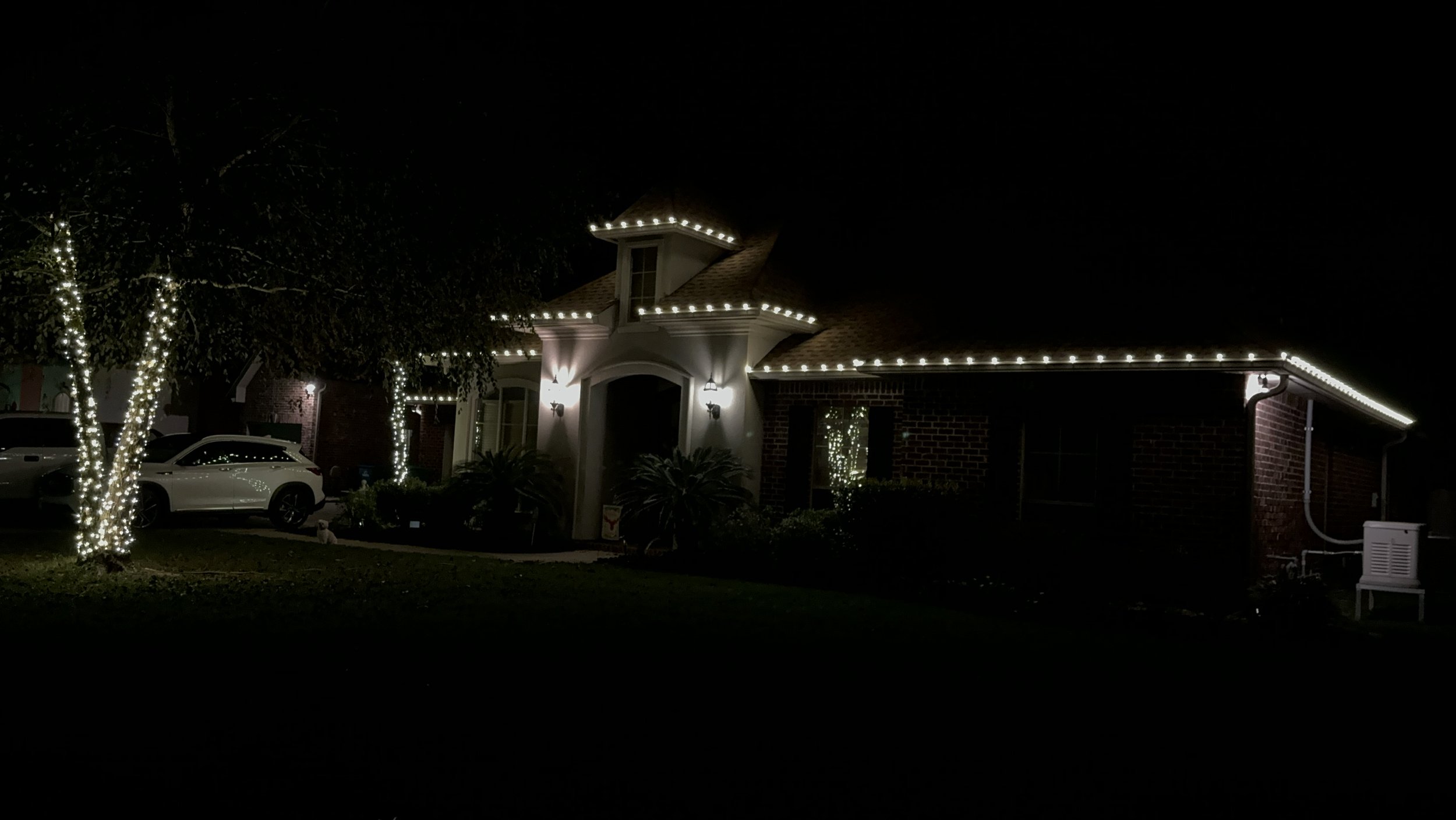 white-christmas-lights-house-and-trees.JPG