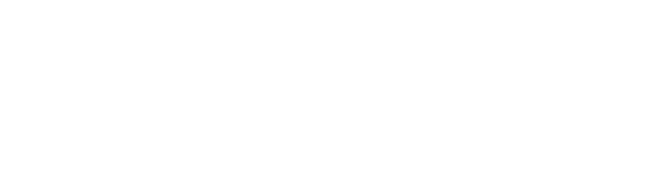 Fischer Panda logo with a stylized panda face and the name Fischer Panda next to it.