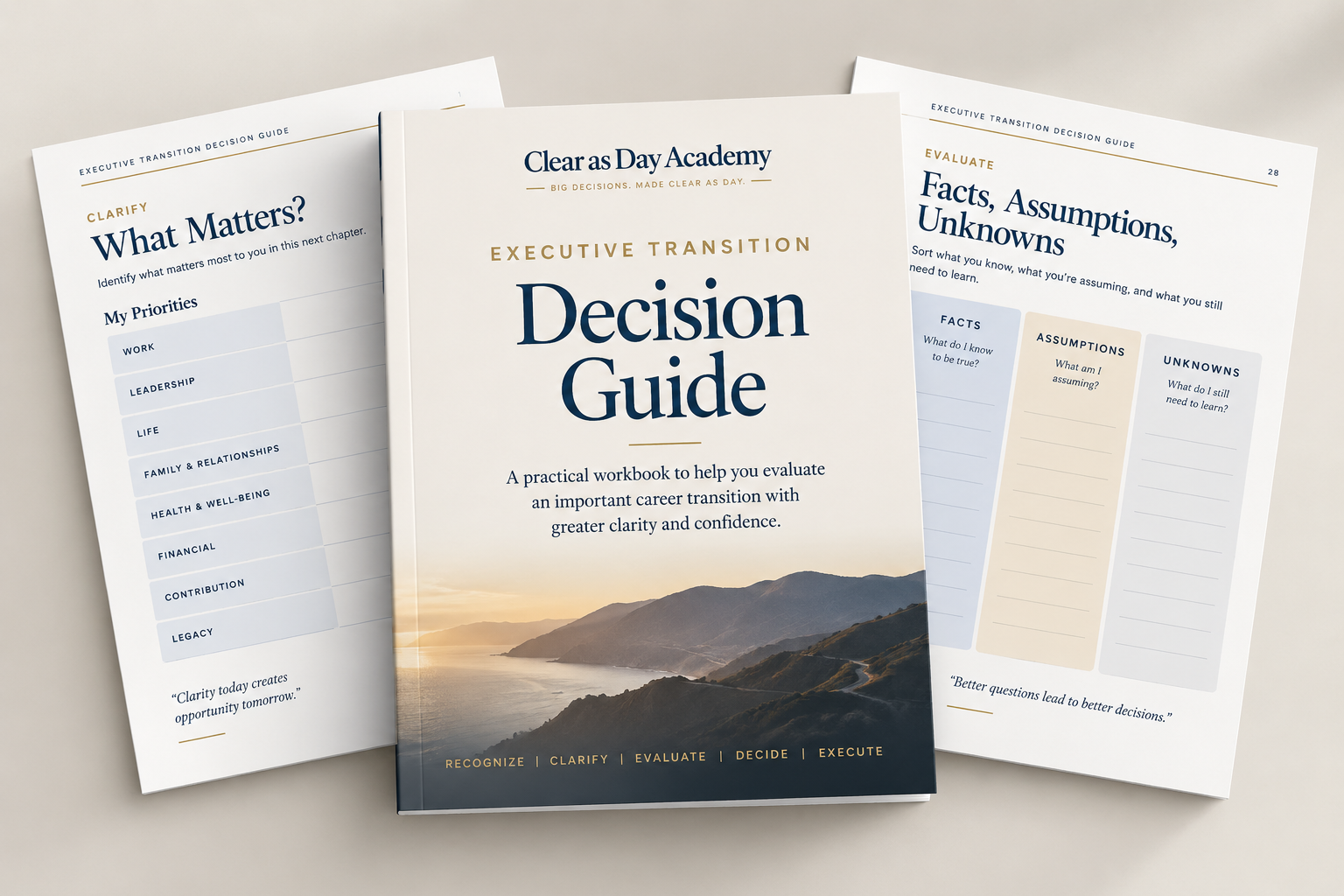 Executive Transition Decision Guide