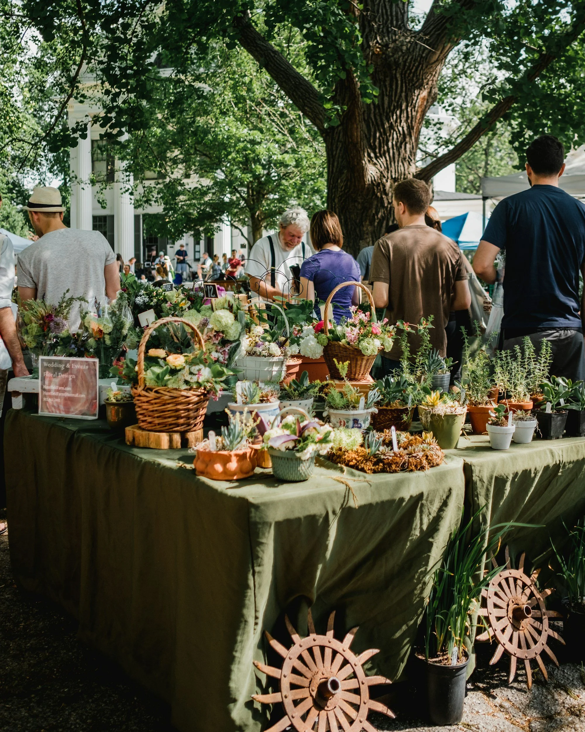 A flower stall under a large tree at an outdoor market, with various flower arrangements, potted plants, and decorative garden wheels on display.