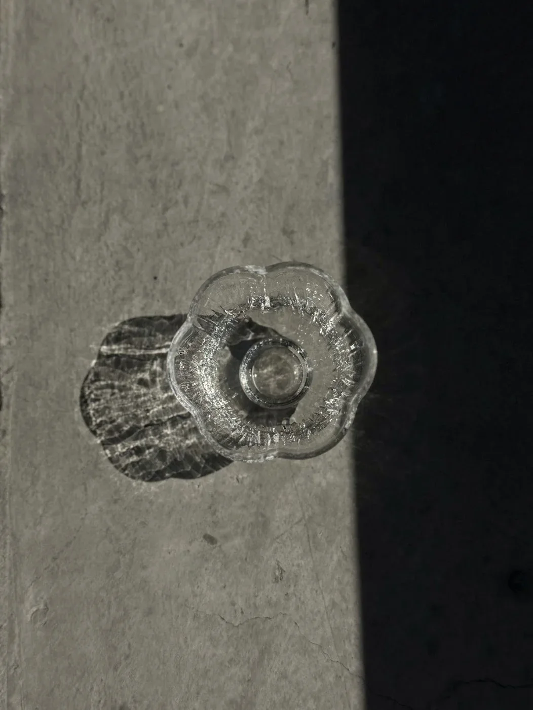 glassteacup3_3866a323-4c9f-4735-ac02-c81e4fae3192.jpg.webp