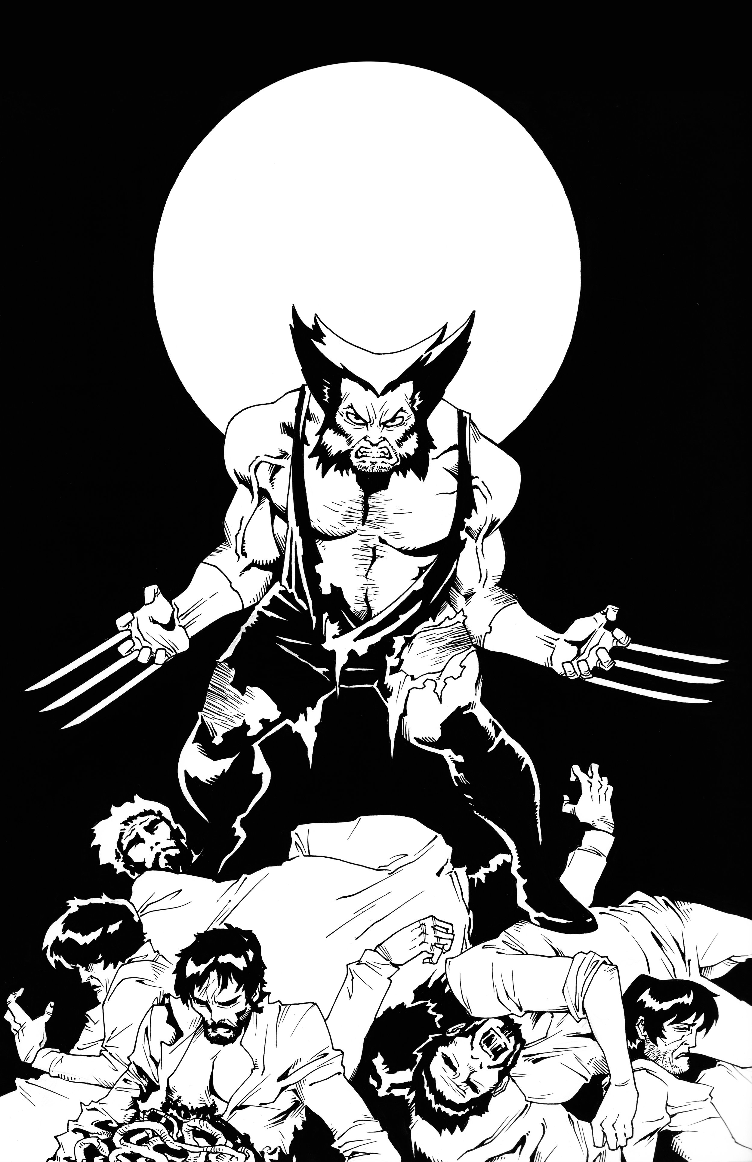 WOLVERINE.jpg