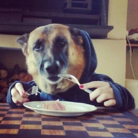 Episode 88 - Better eat the dog