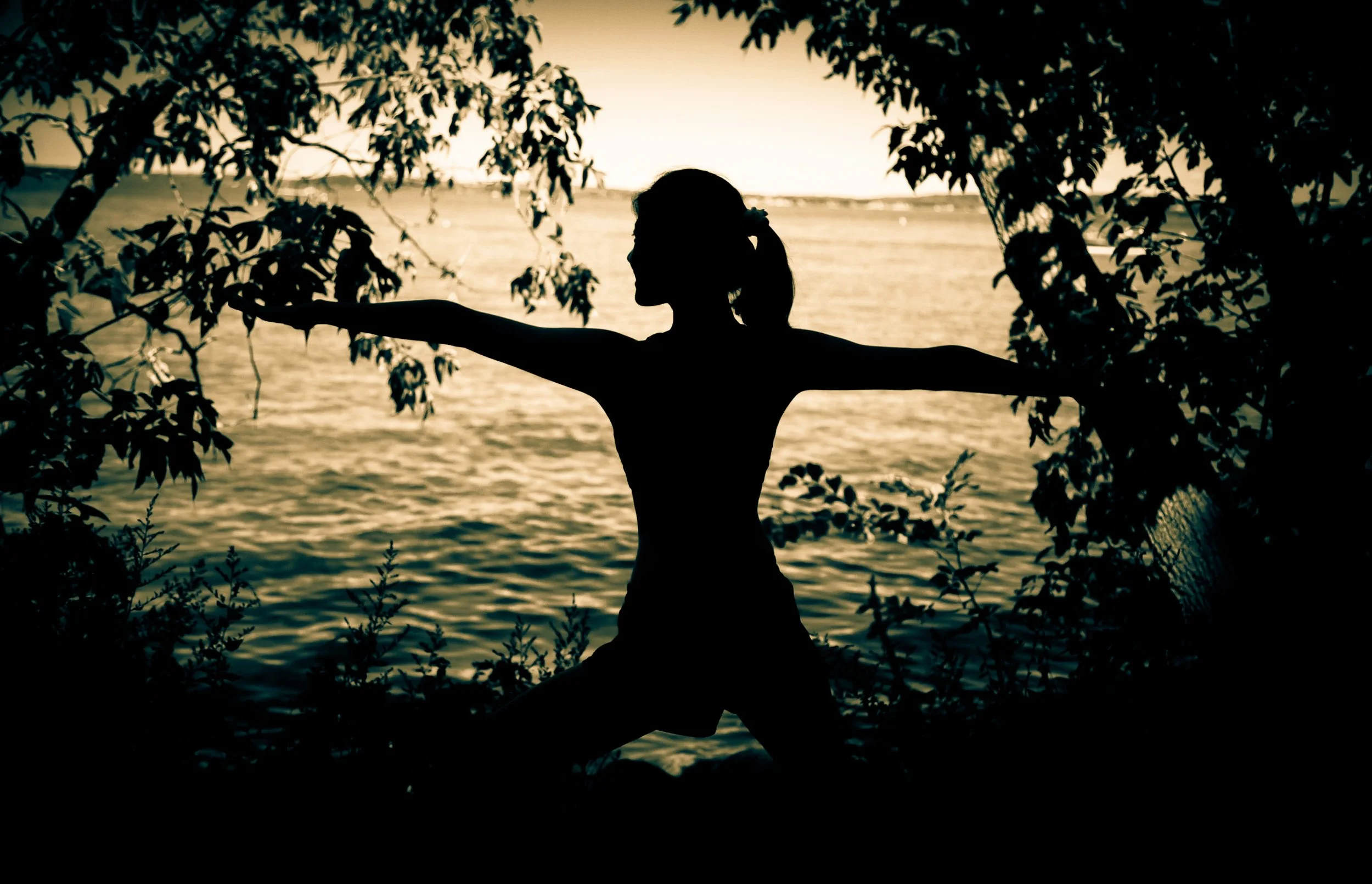 Yoga & Aerial Yoga