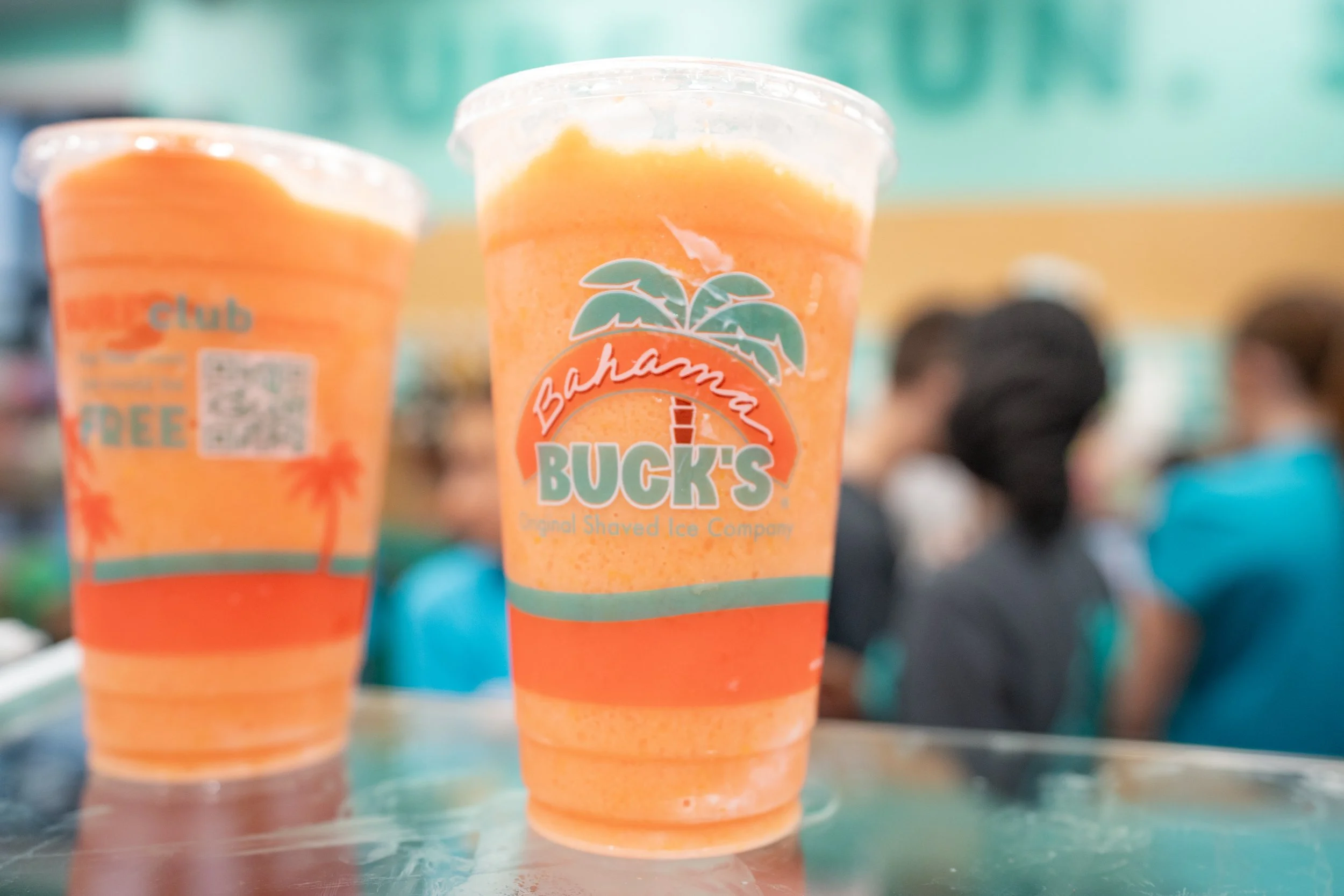 Bahama Bucks -5.jpg
