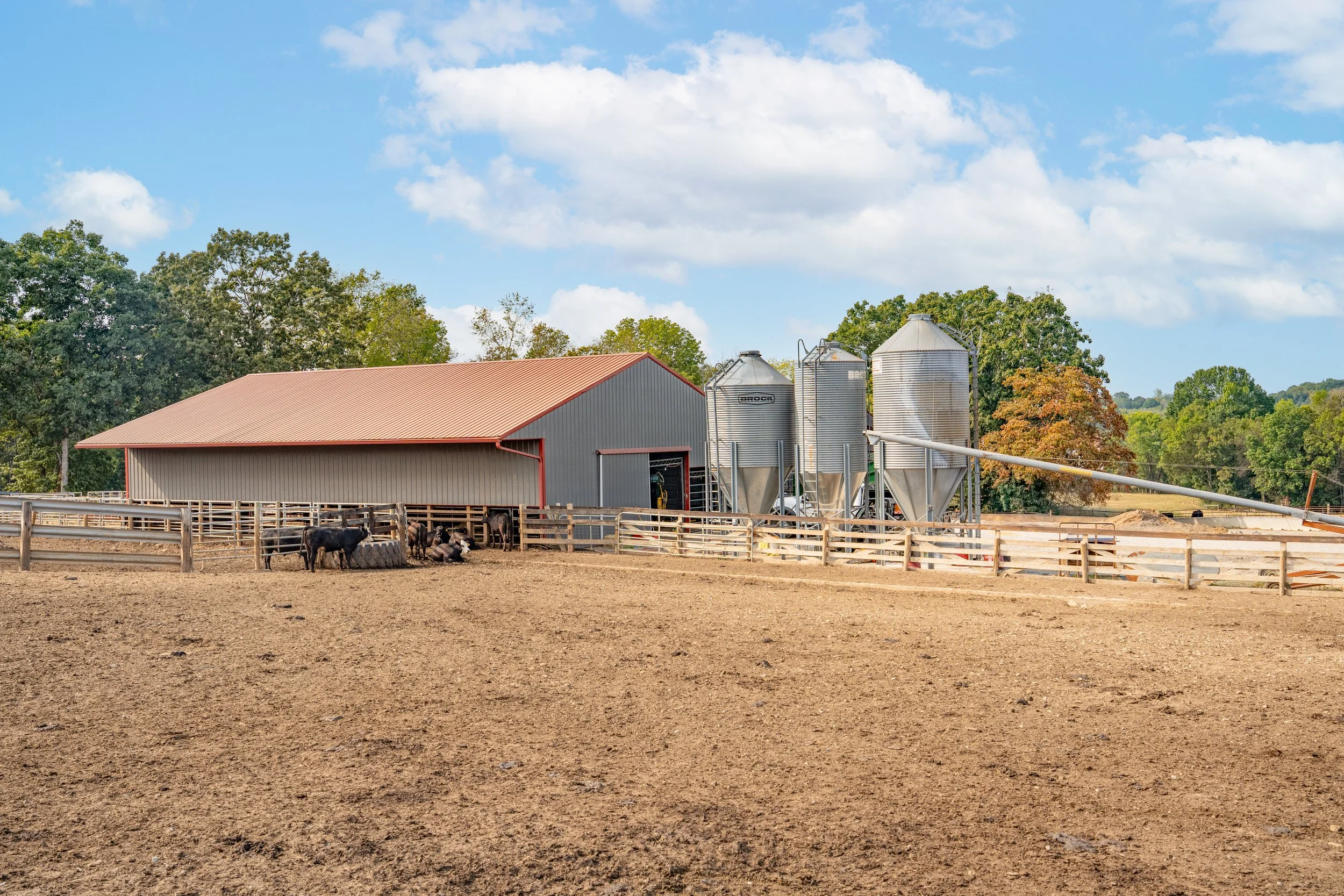 C. Blackwell Cattle Co. -6.jpg