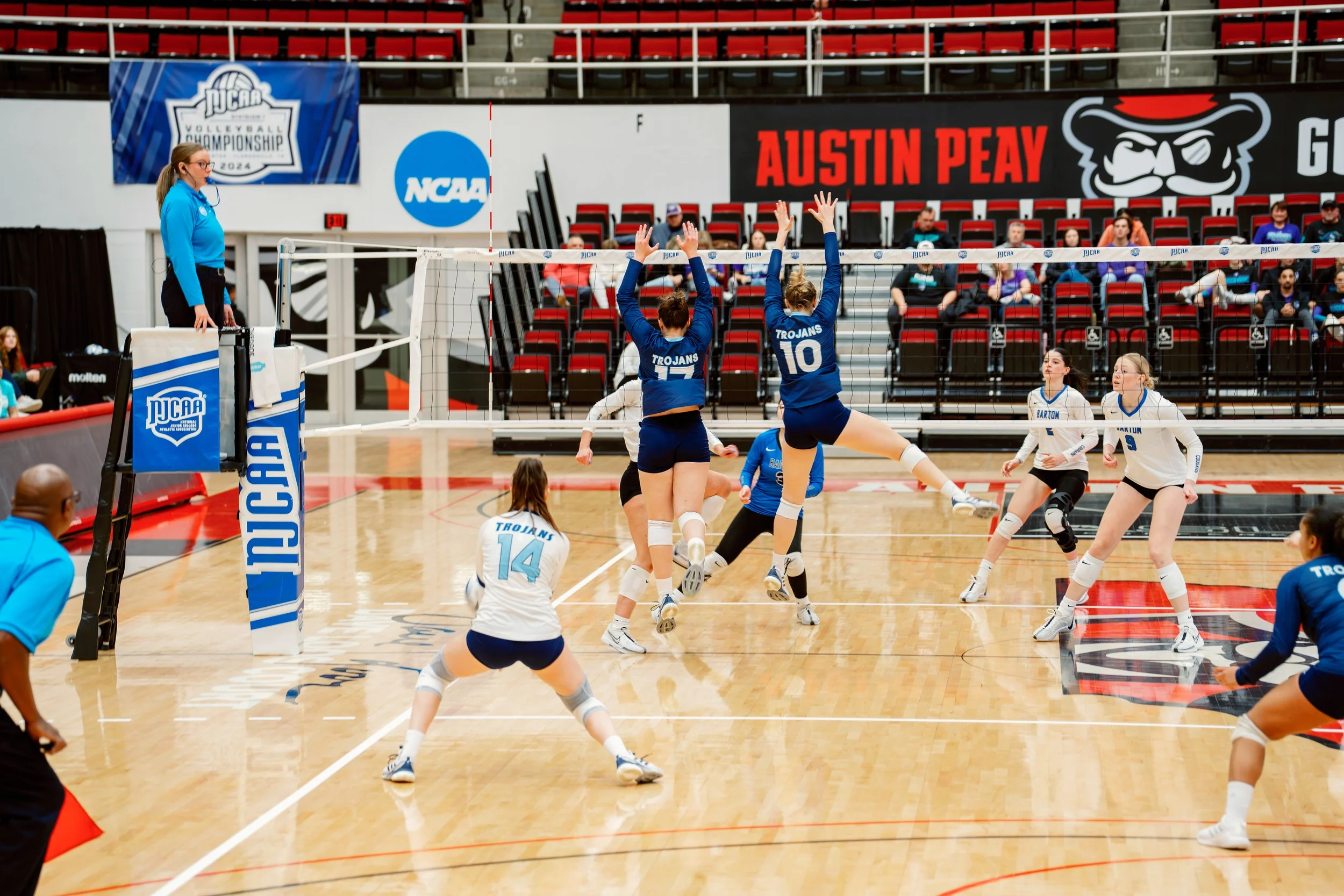Volleyball Championship-2.jpg