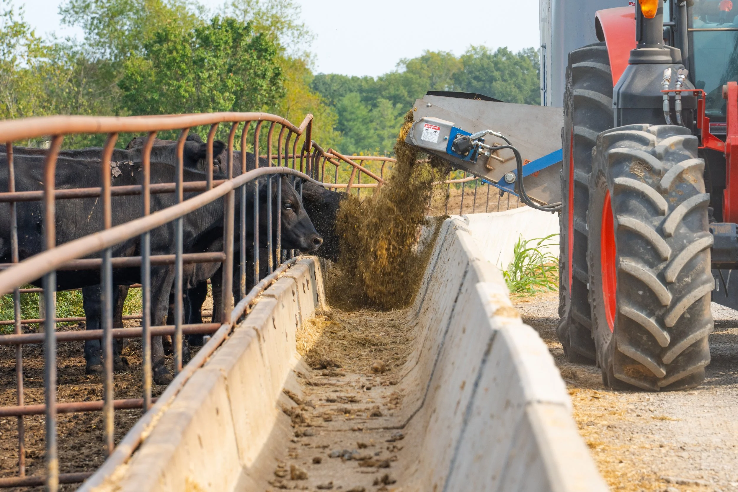 C. Blackwell Cattle Co. -15.jpg
