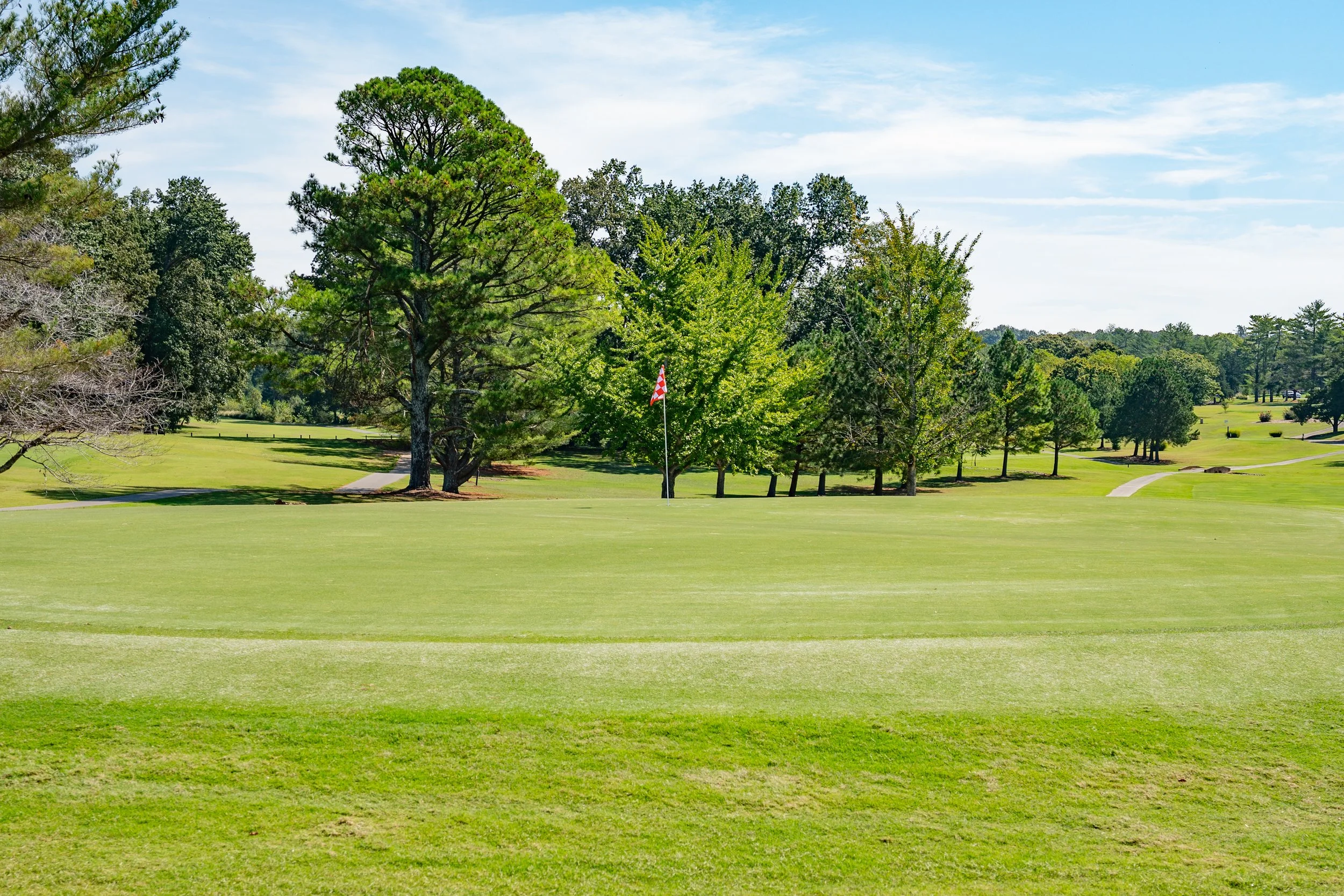30th Annual Chamber Golf Scramble -2.jpg