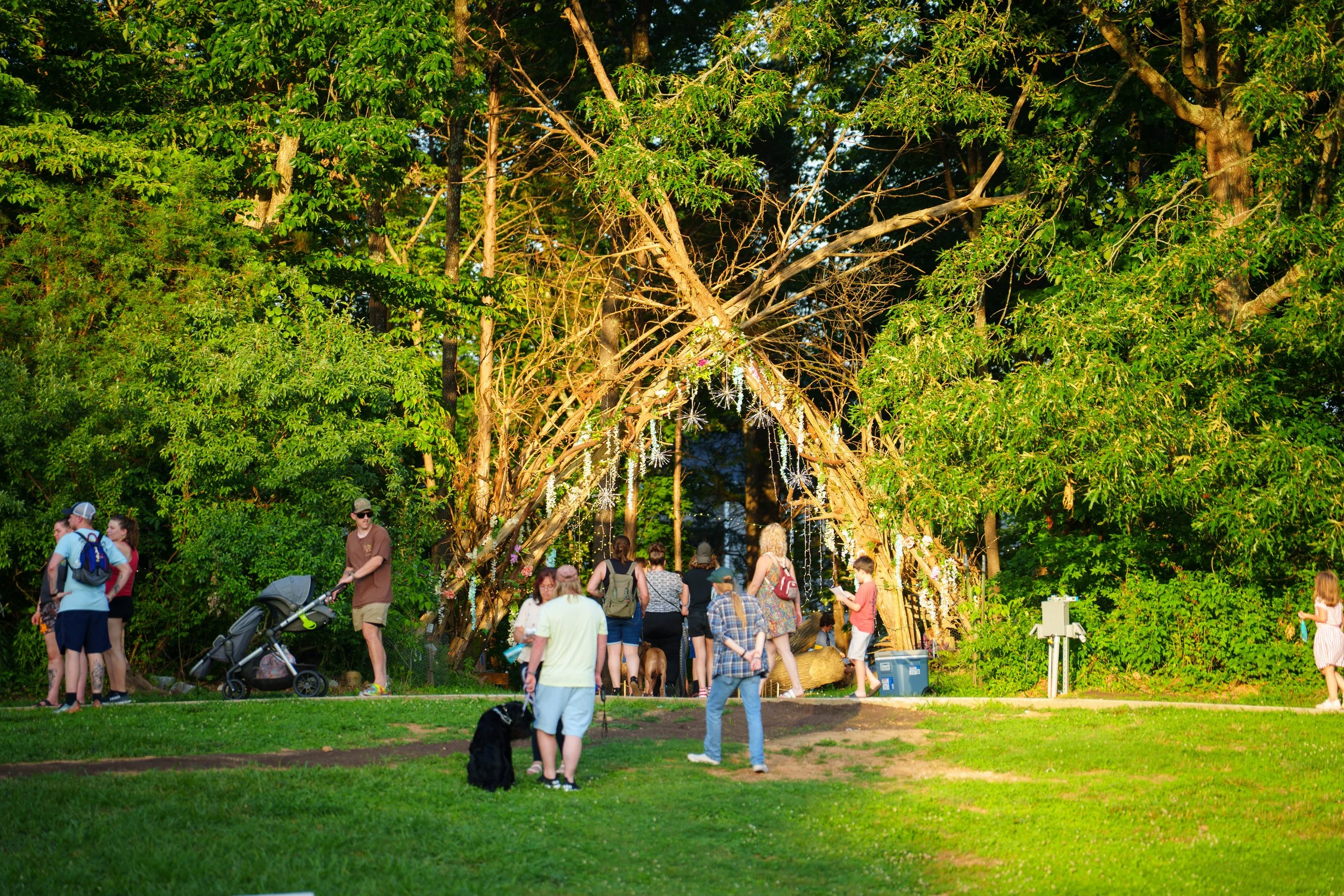 Midsummer Magic-60.jpg