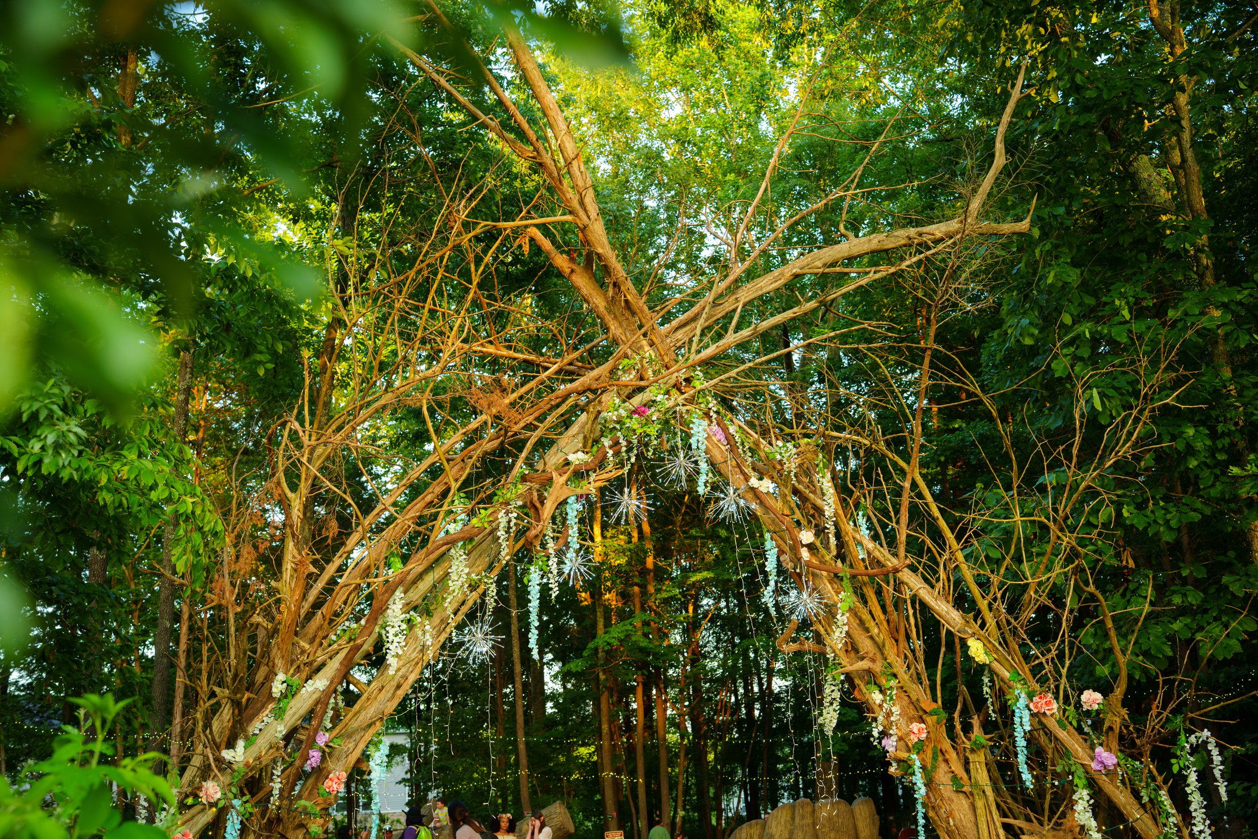 Midsummer Magic-73.jpg
