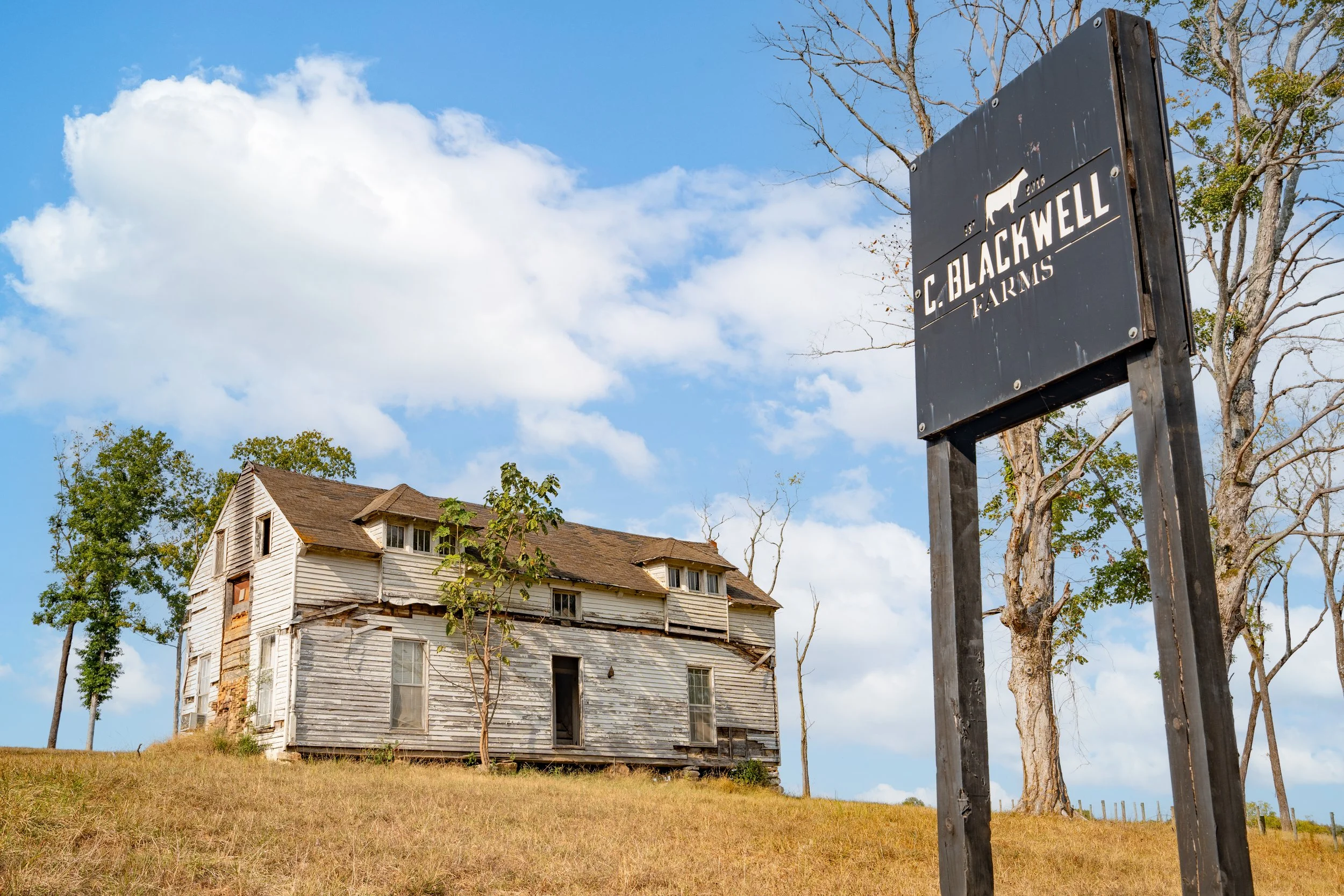 C. Blackwell Cattle Co. -2.jpg