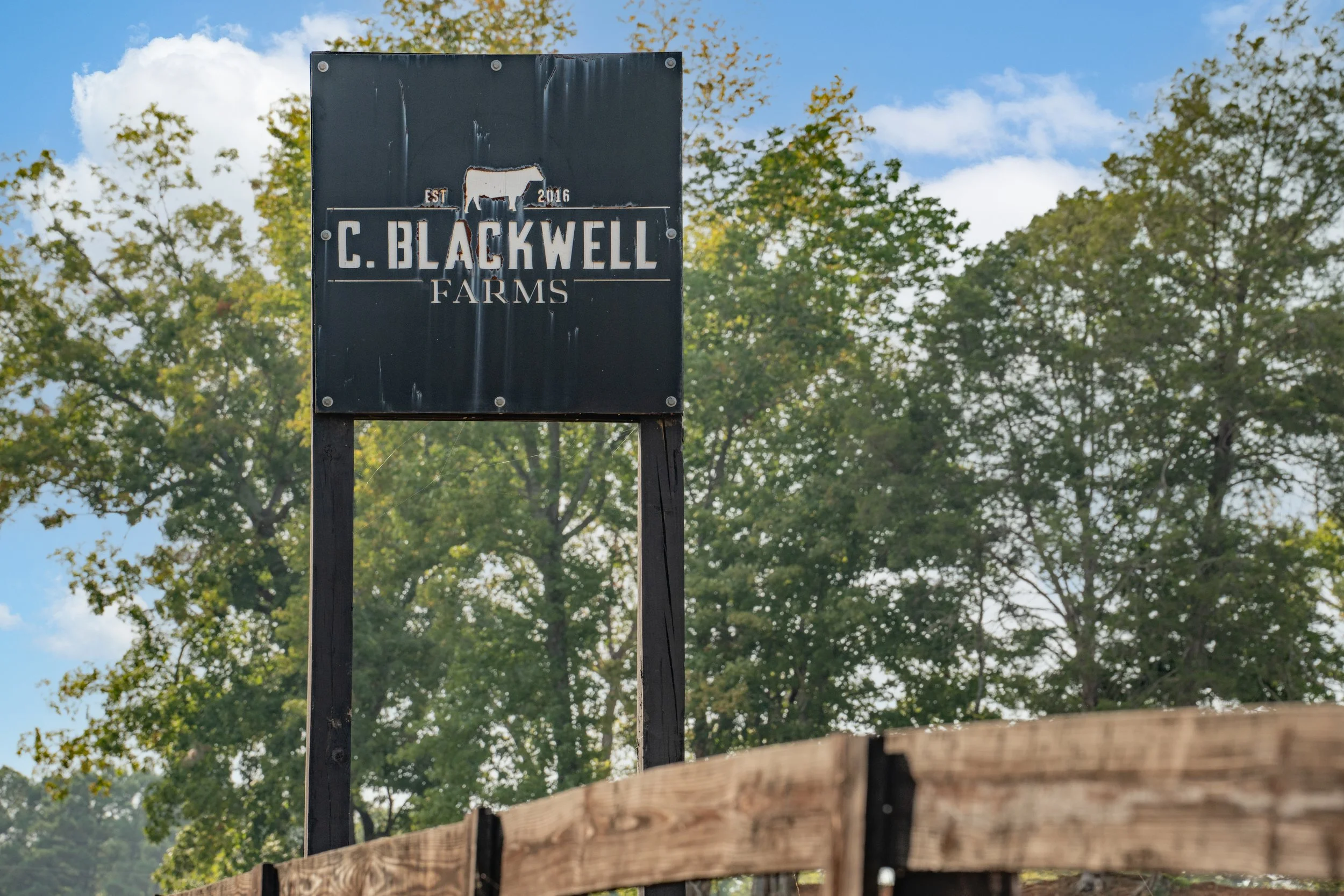 C. Blackwell Cattle Co. -3.jpg
