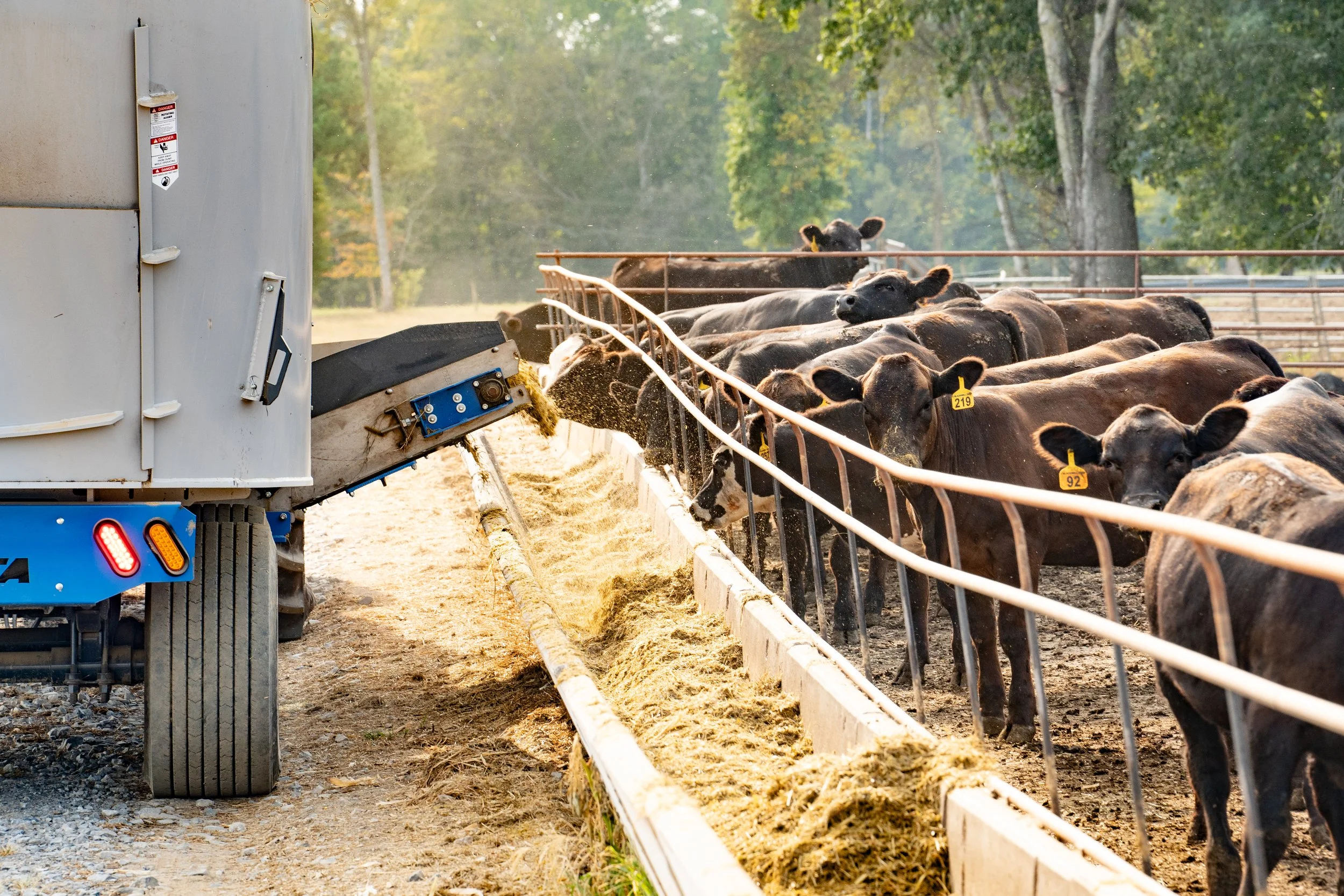 C. Blackwell Cattle Co. .jpg