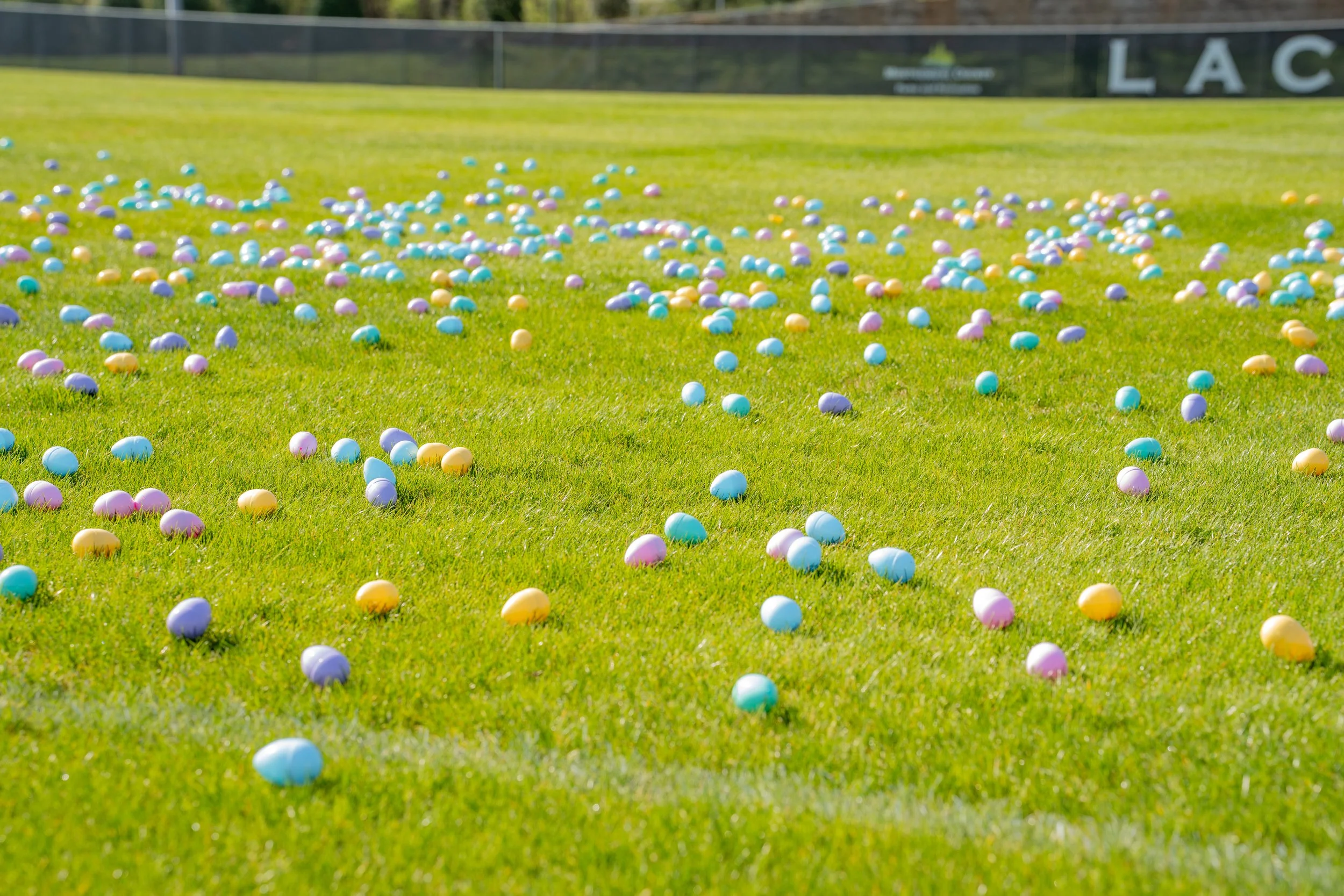 Easter Hunt-16.jpg