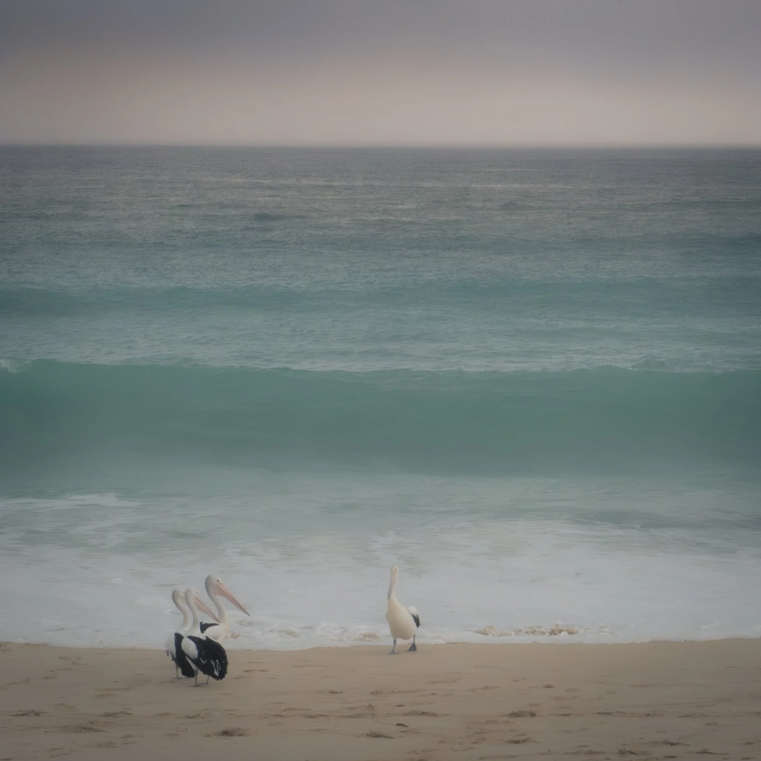 Surf abstracts 6.jpg