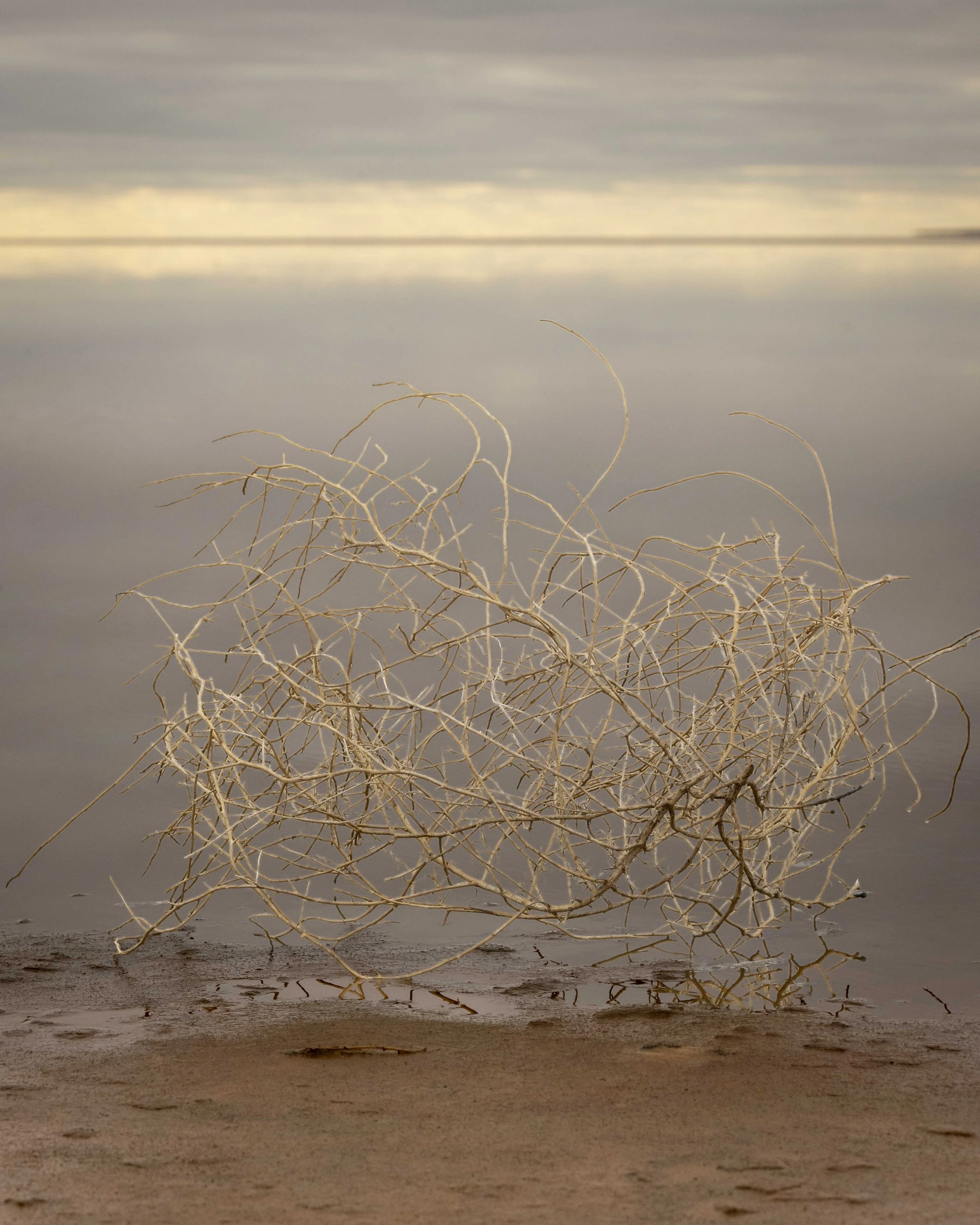 Weathered Grace