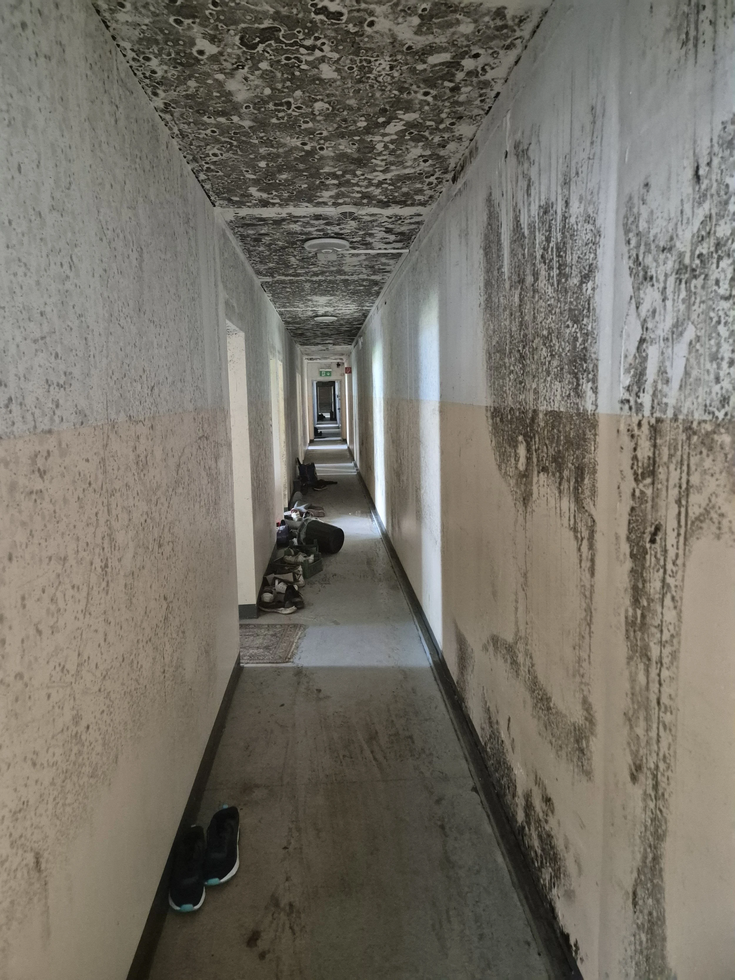 Langer, enger Flur mit stark fleckigen, schimmeligen Wänden und Decke, verstreuten Schuhen und Gegenständen sowie einem Notausgangsschild.