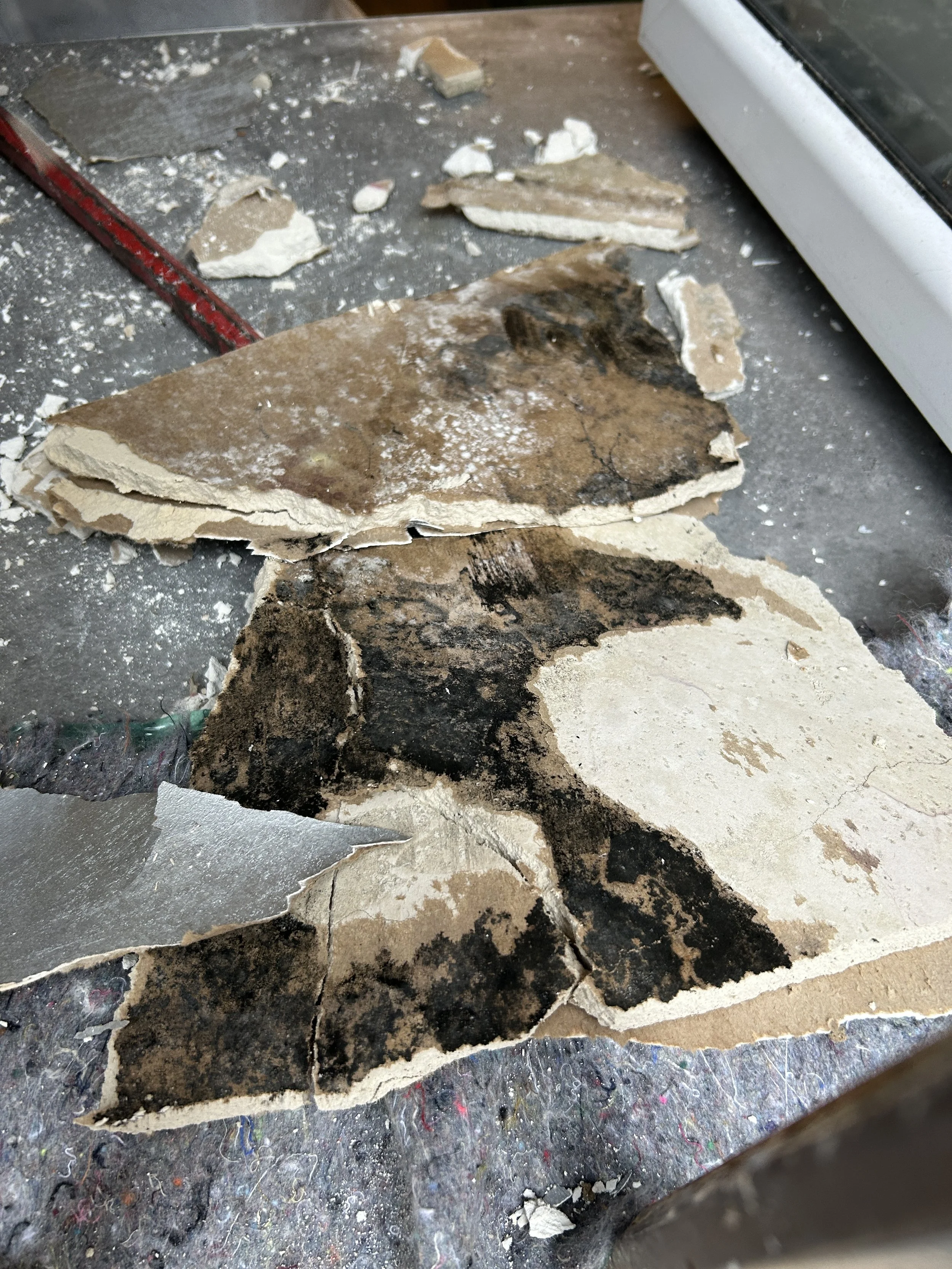 Nahaufnahme einer stark beschädigten, verschmutzten und schimmelbefallenen Wand mit abblätternder Tapete und freiliegendem Putz.