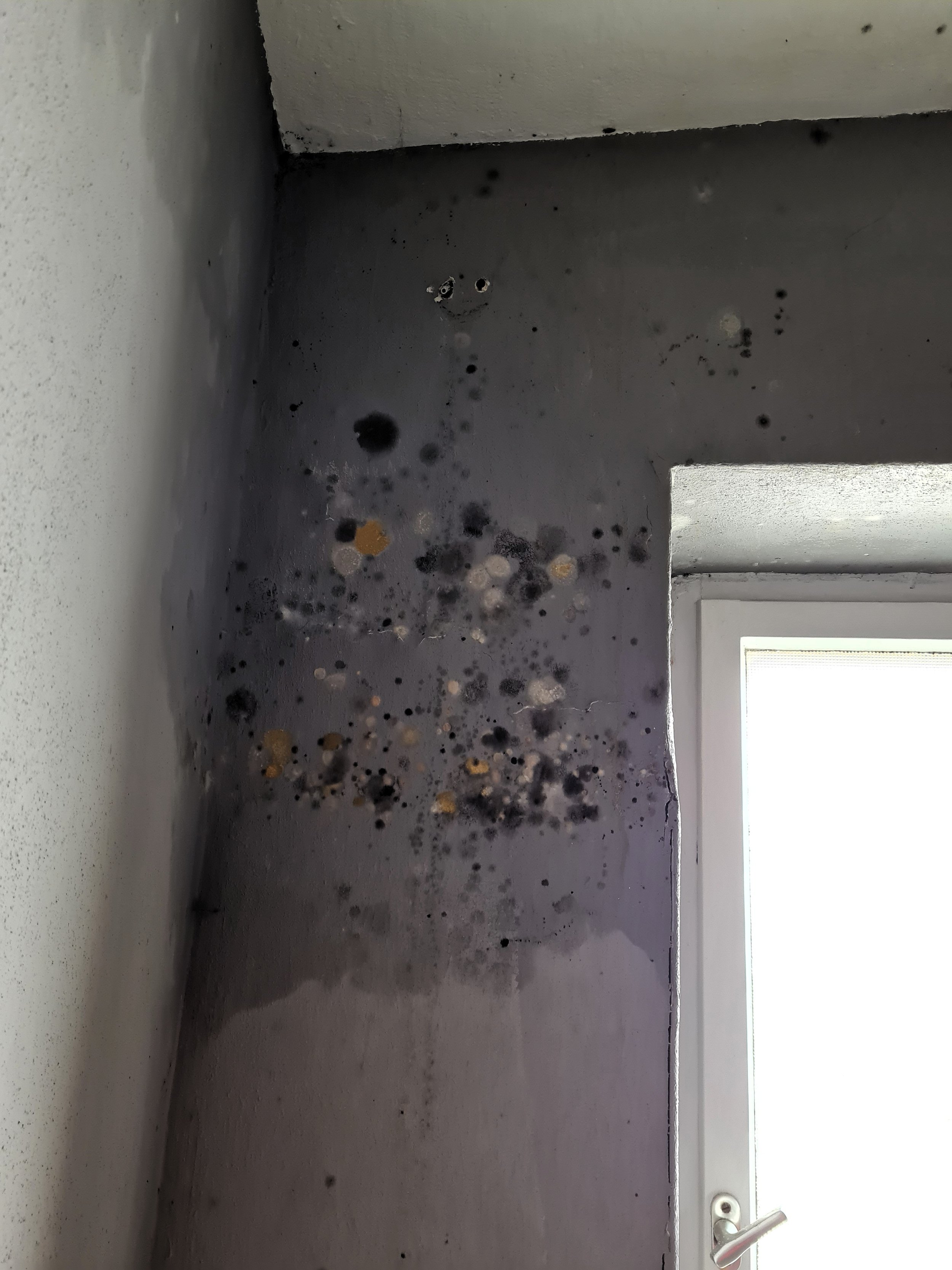 Nahaufnahme einer stark verschmutzten, schimmelbefallenen Wand neben einem weißen Türrahmen mit Griff.