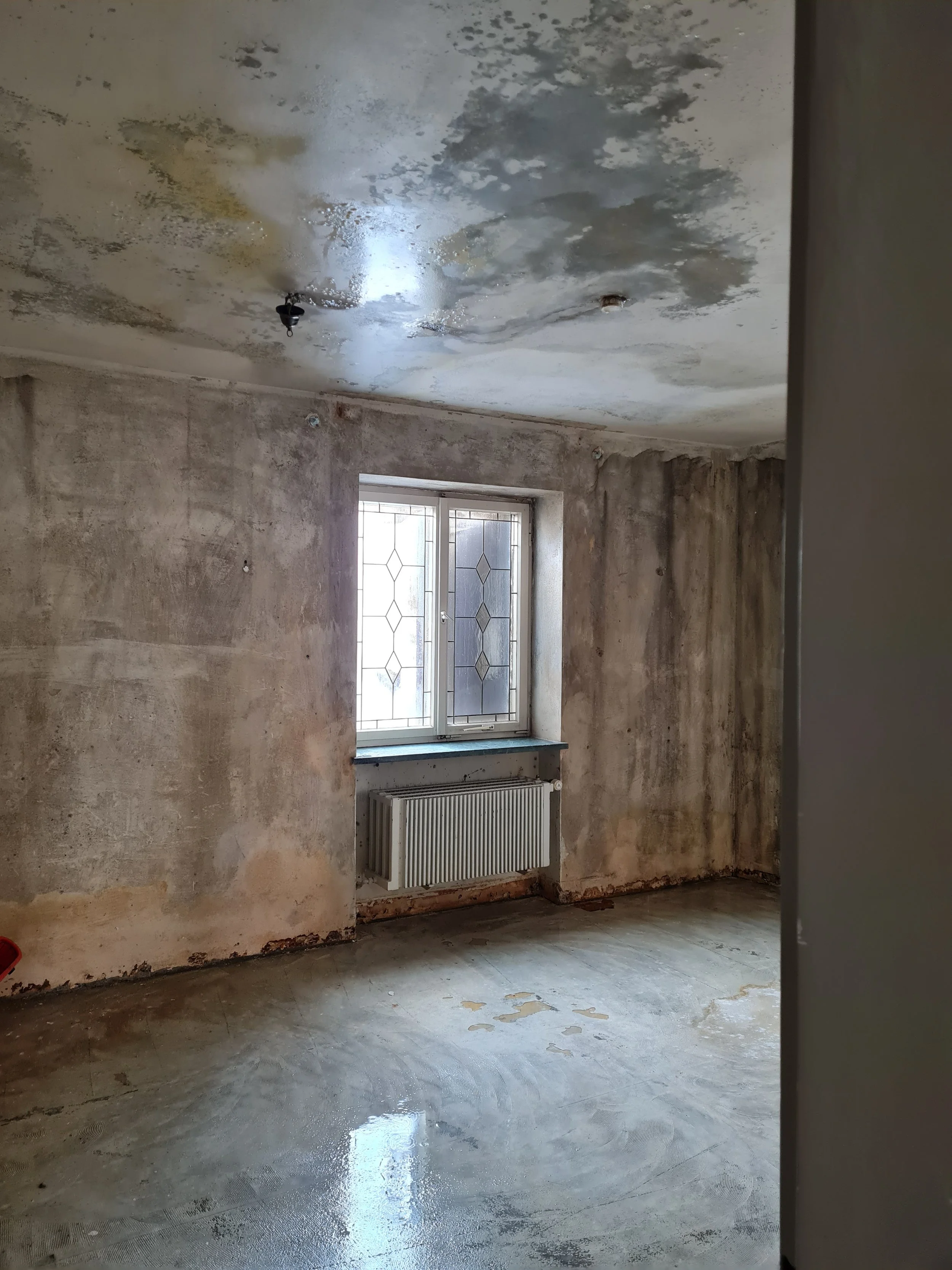 Unrenovierter Raum mit feuchten, schimmeligen Wänden und Decke, dekorativem Fenster, Heizkörper und beschädigtem Betonboden.