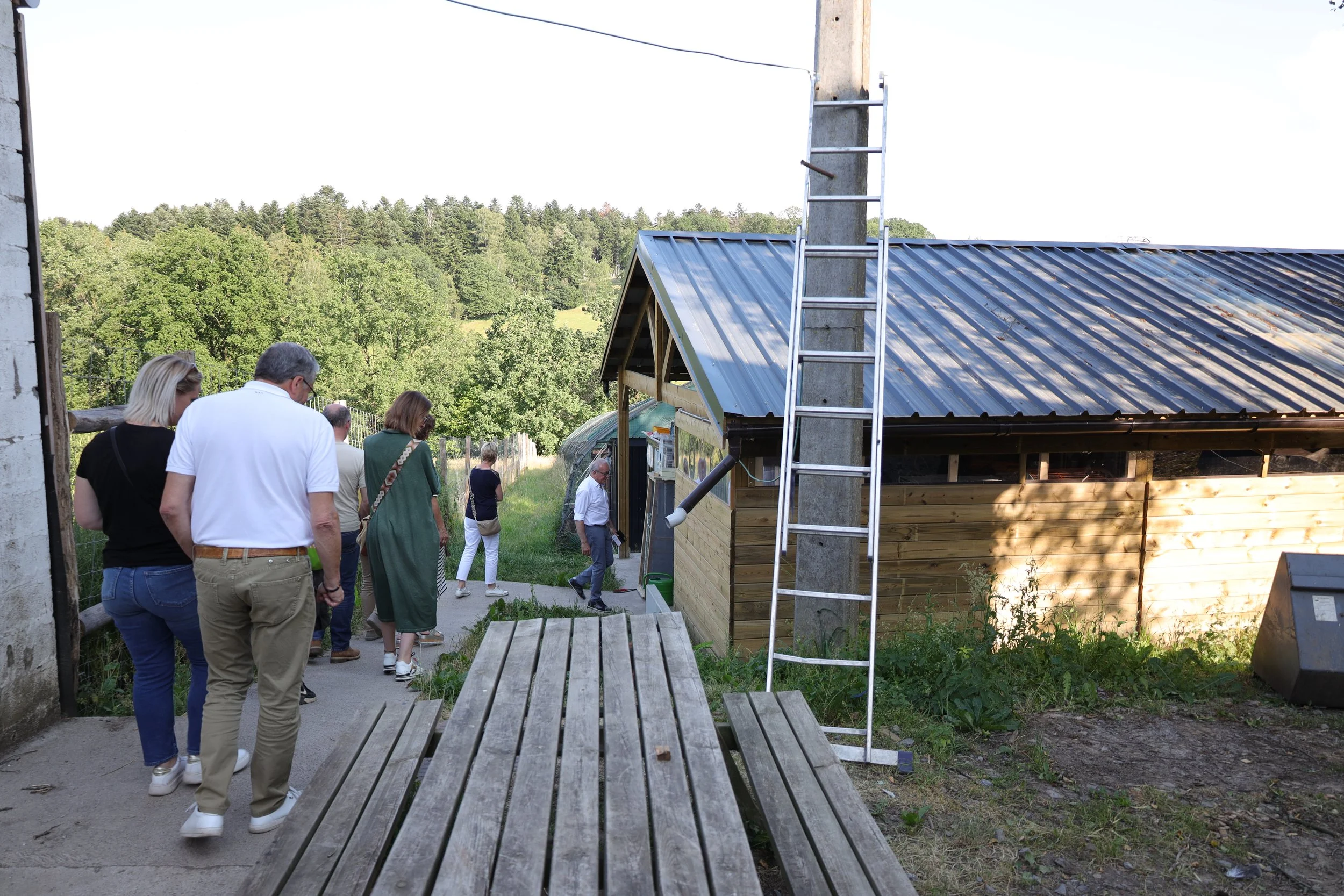 Groupe de personnes marchant dans une cour extérieure devant une petite construction en bois avec un toit en métal, près d'une échelle en aluminium attachée à un poteau en béton, avec un paysage de forêt en arrière-plan.