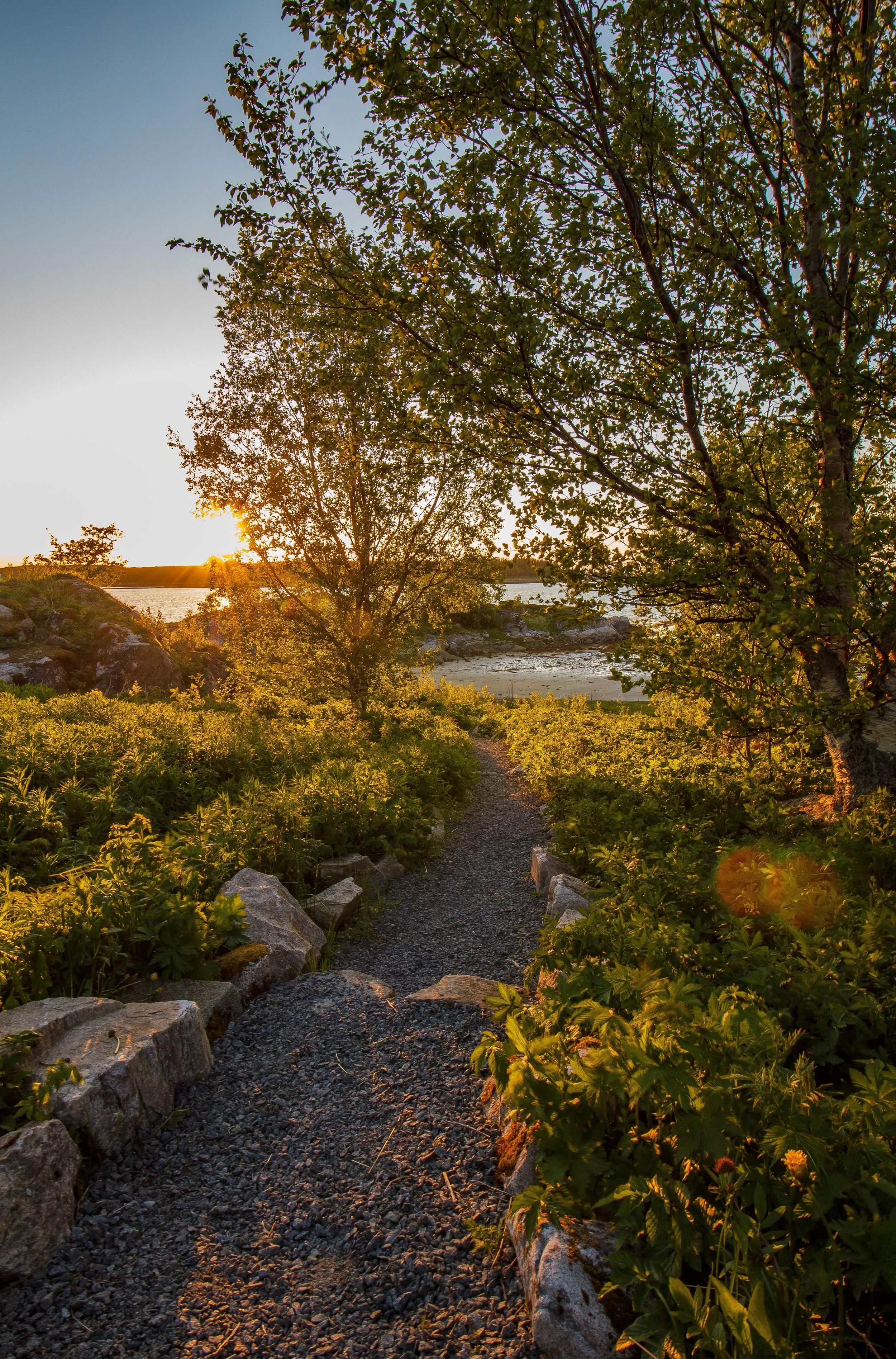 A scenic nature landscape showing a gravel pathway lined with rocks and green plants, leading towards a lake with trees on the shoreline, under a setting sun with a clear blue sky.