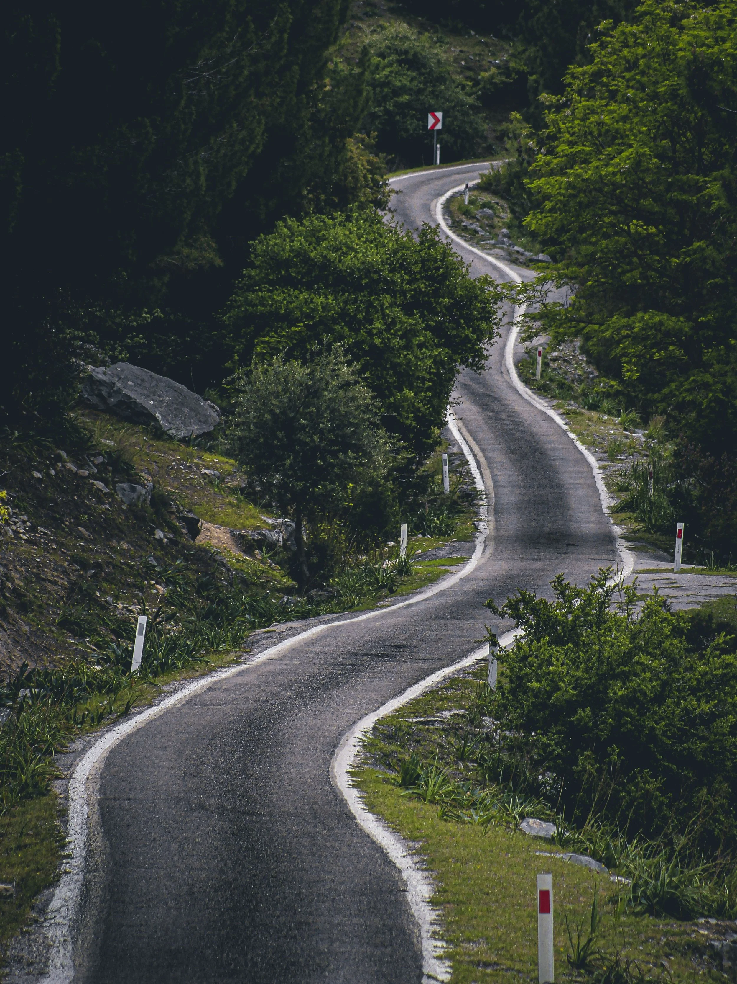 A winding mountain road surrounded by lush green trees and bushes, with roadside white and red posts and a chevron road sign indicating a left turn ahead.