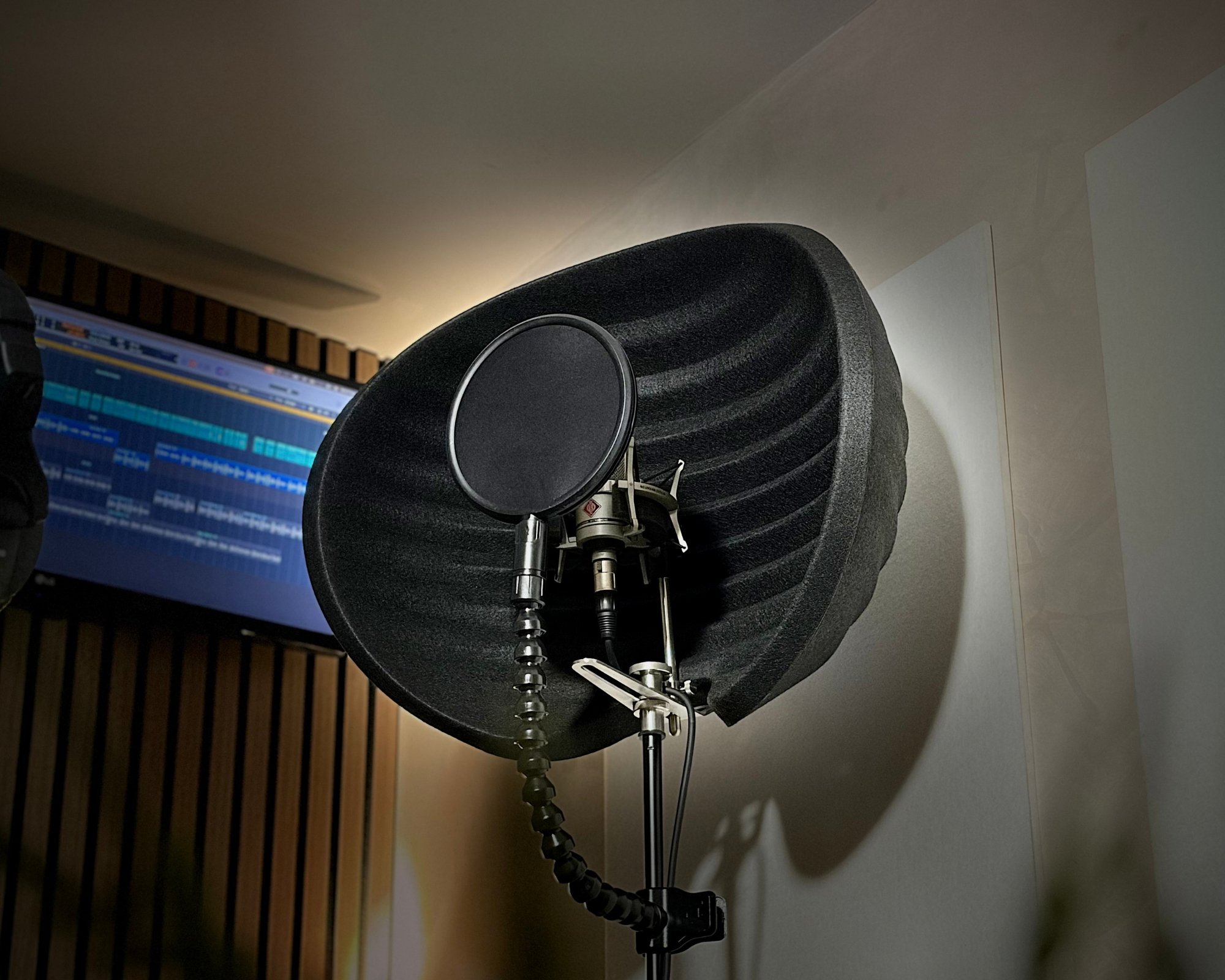 mic x.jpg