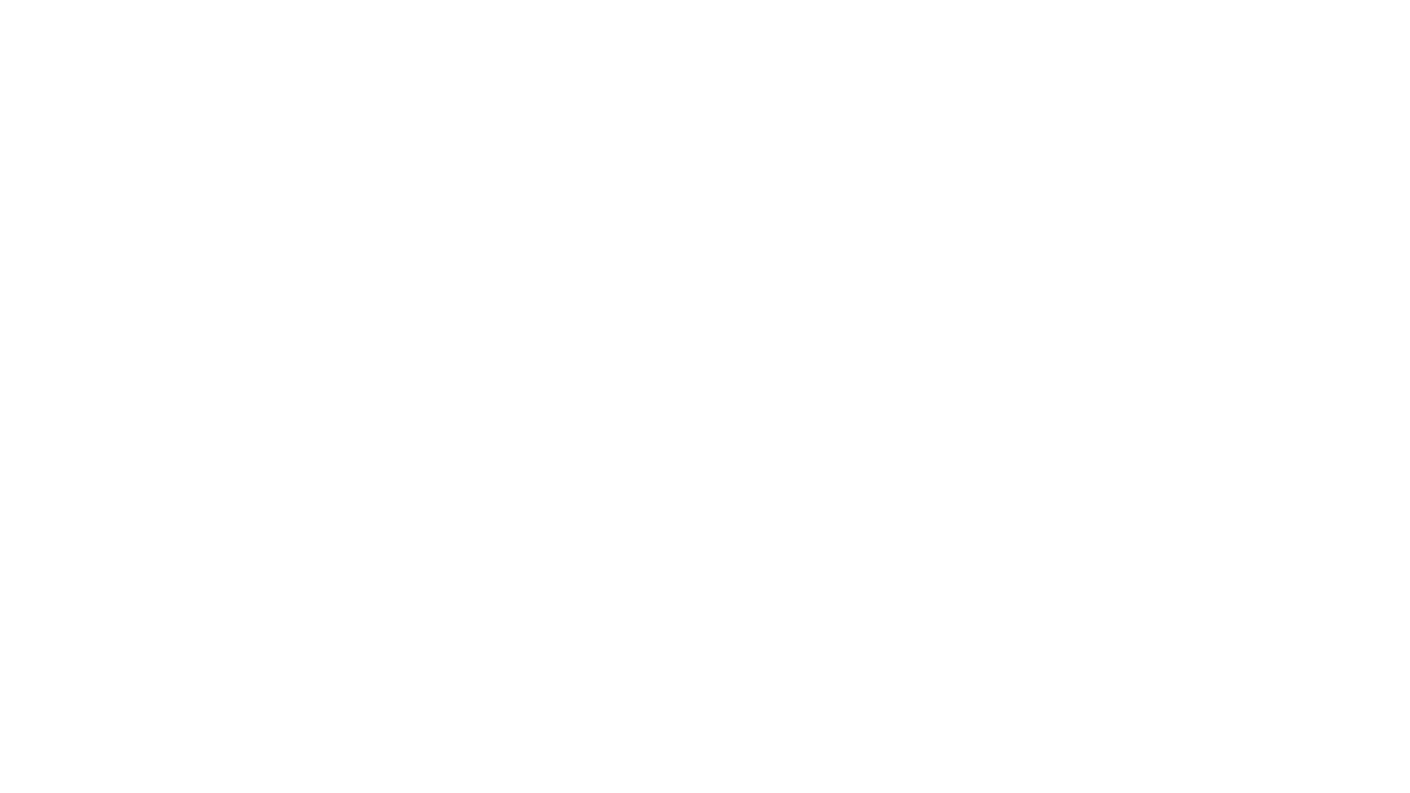 Carlos Raoul