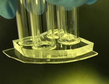 Kidney Organoid-on-a-chip