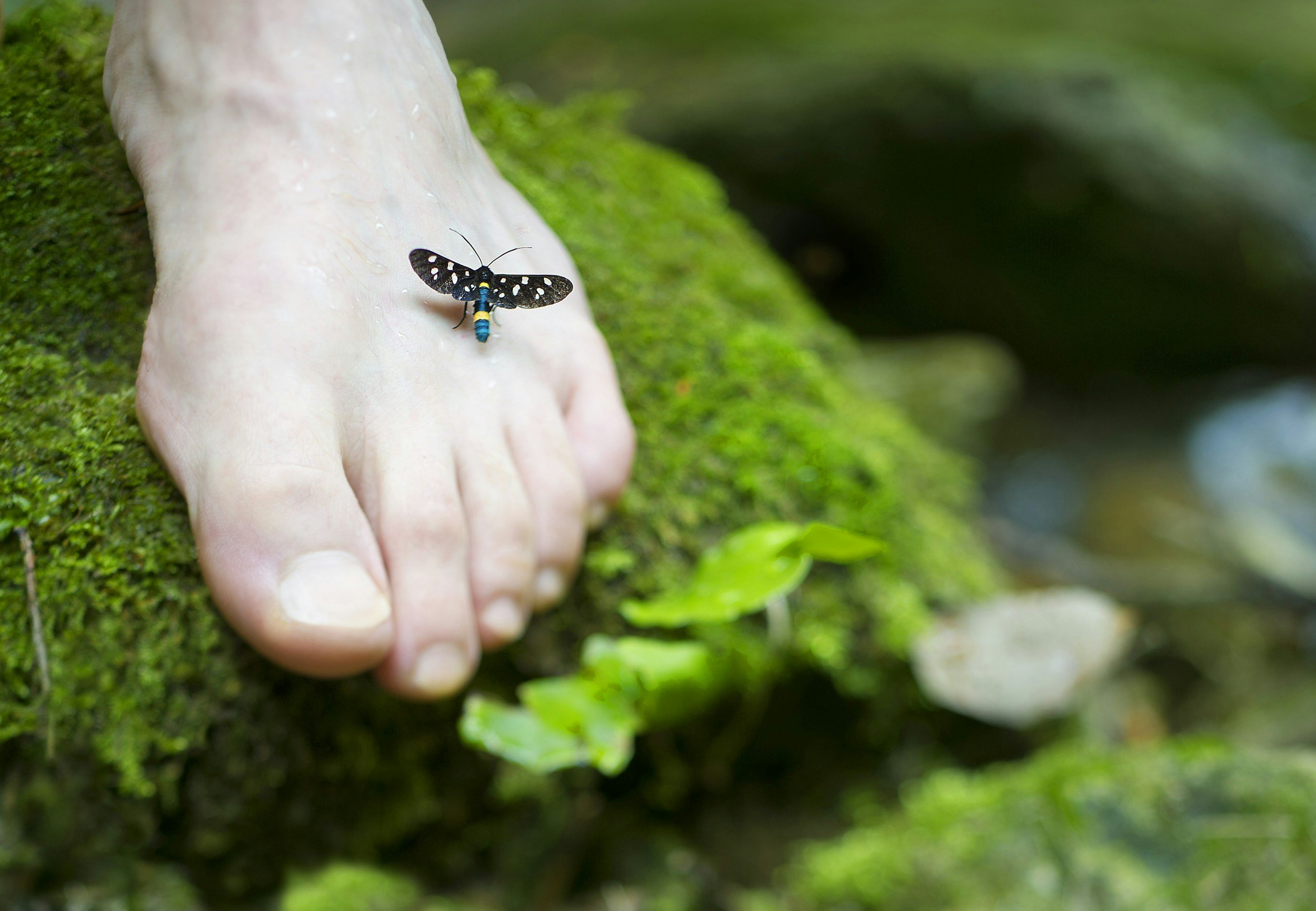 Close-up of a feet in regards to reflexology treatments