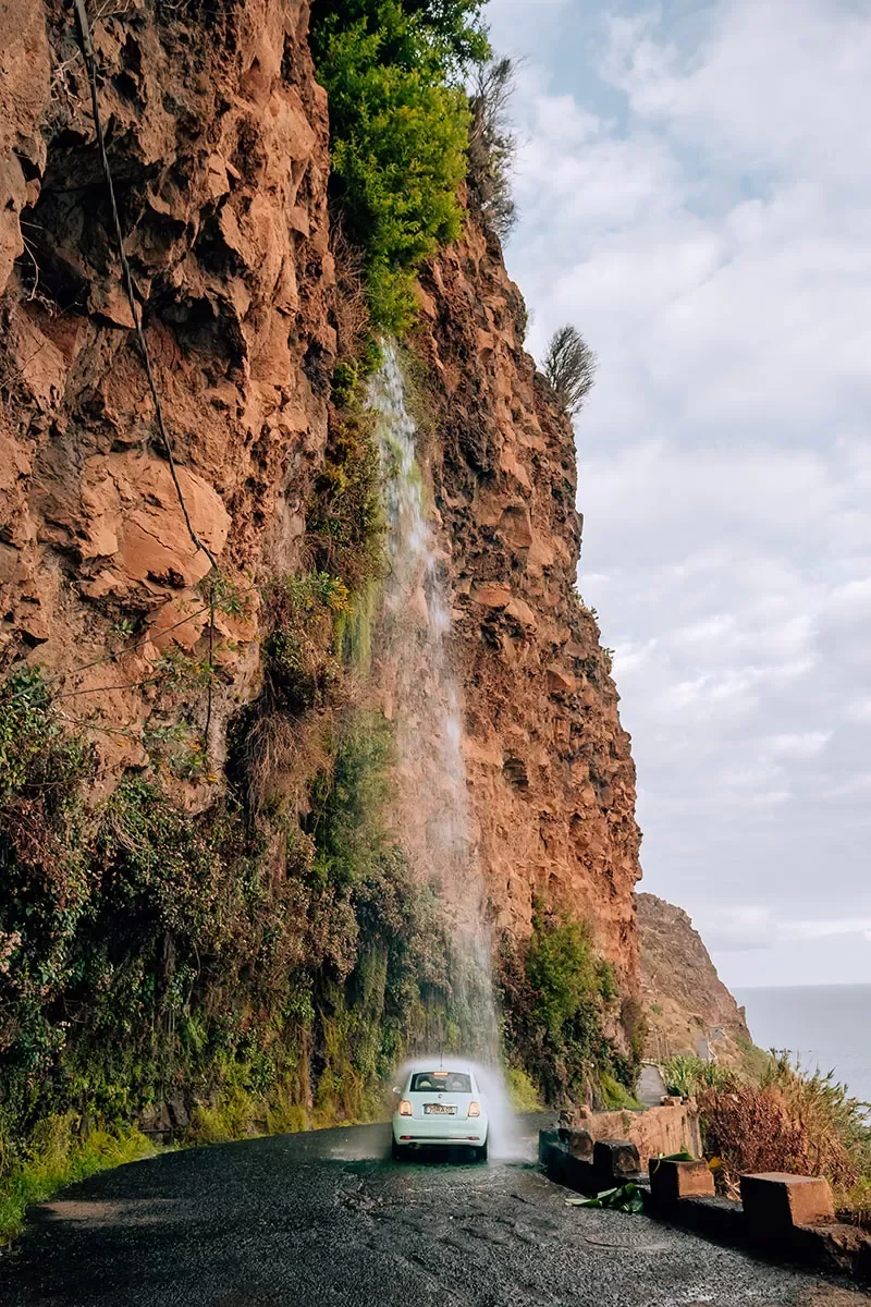 Madeira Waterfall.webp