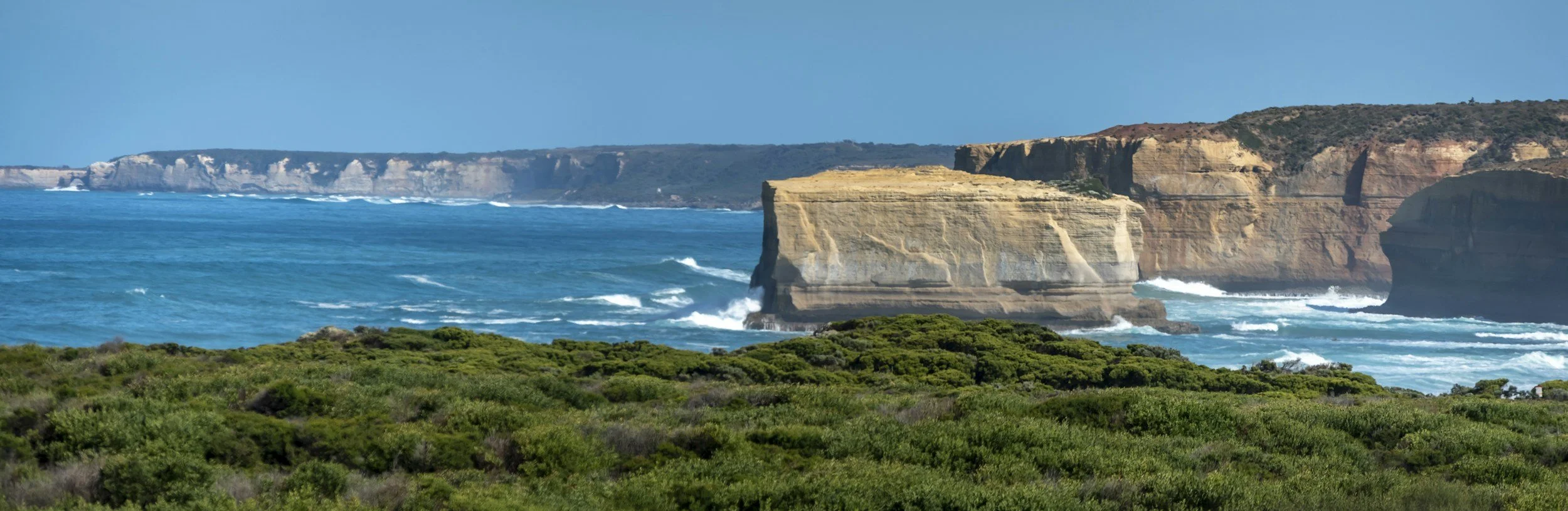 Cliffs along a rugged coastline with the ocean crashing against rocks and green shrubbery in the foreground under a clear blue sky.