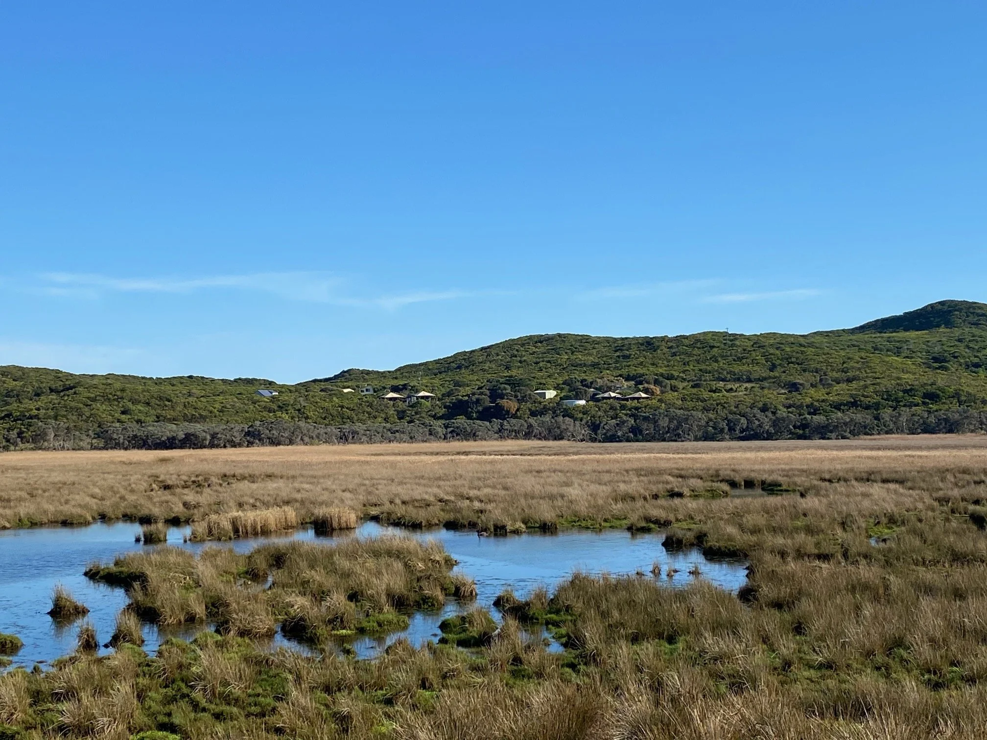A landscape with a blue sky, green hills in the background, a small river flowing through tall grass in the foreground, and a few houses on the hillside.