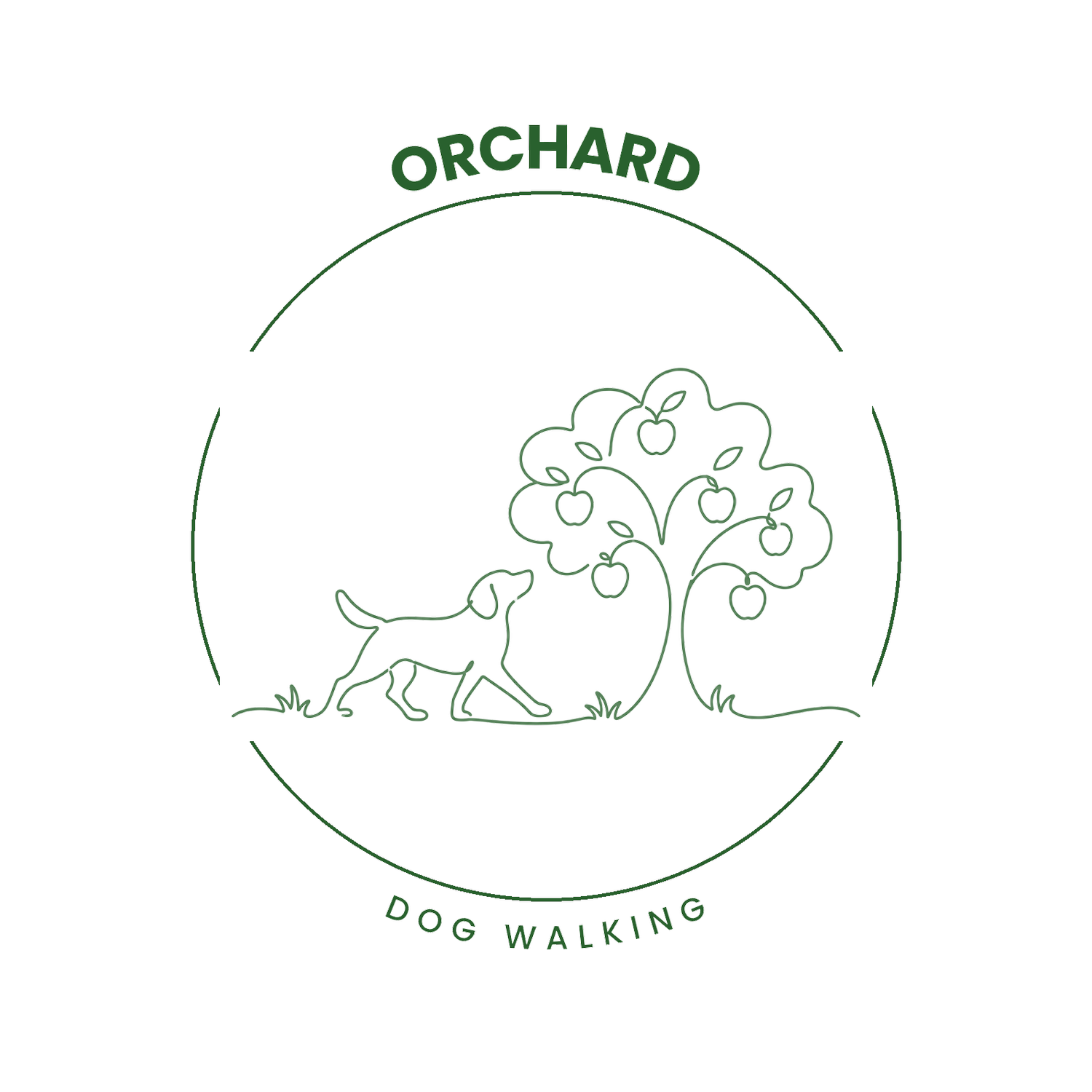 Orchard Dog Walking