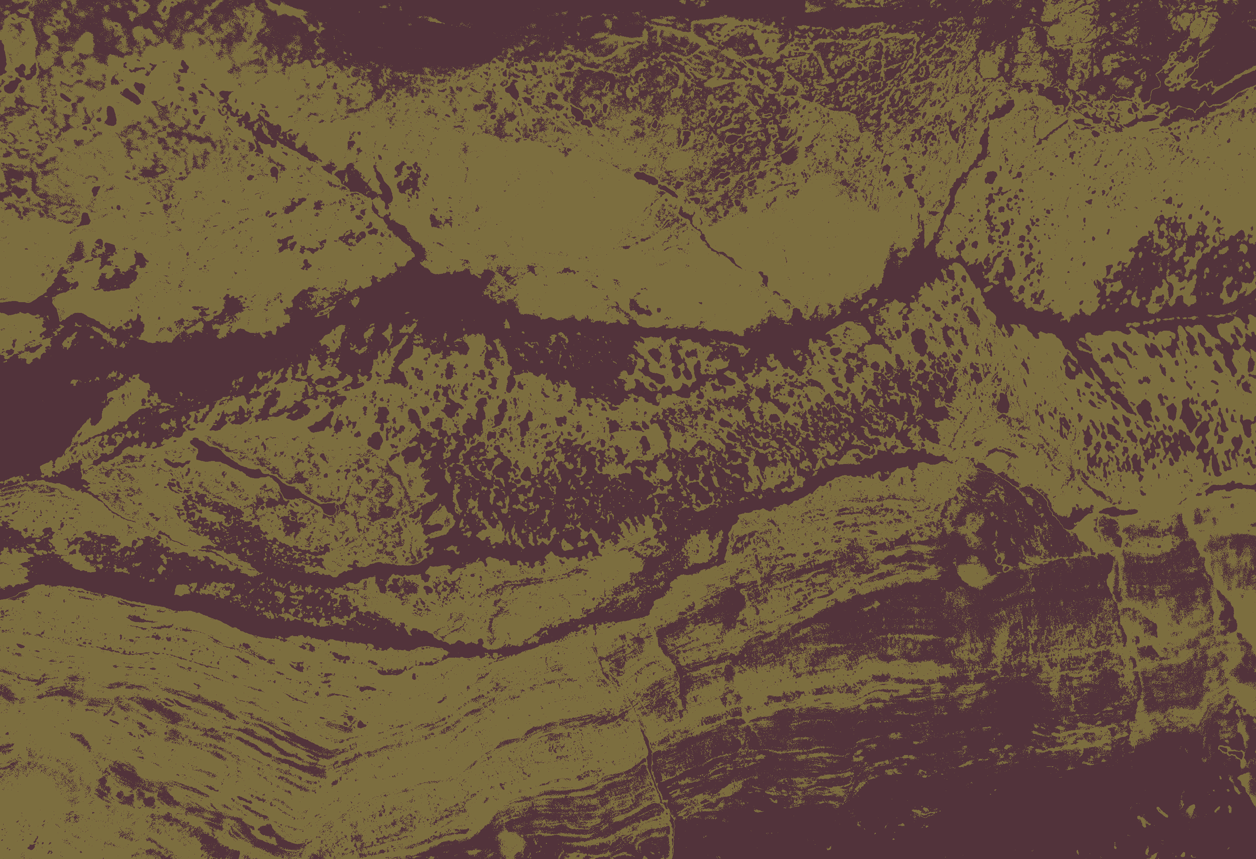 Close-up of textured tree bark with deep ridges and dark crevices.