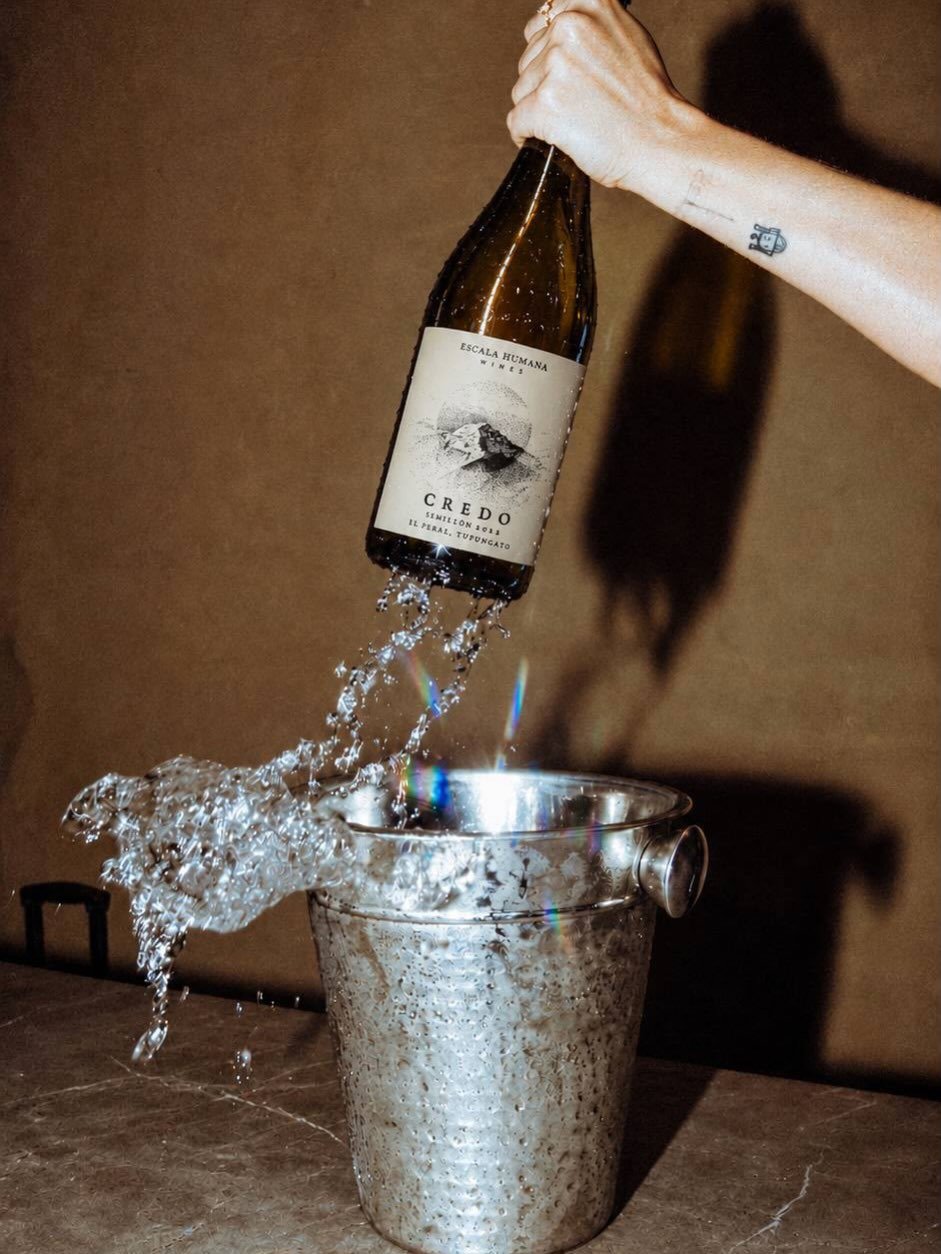 Credo Semill&oacute;n, El Peral 2022 ~ @escalahumanawines
97 puntos Parker.

Un vino de monta&ntilde;a. Un Semill&oacute;n de Tupungato, al pie de la Cordillera de los Andes, donde el suelo franco empieza a dar paso a la piedra. Dos inviernos en robl